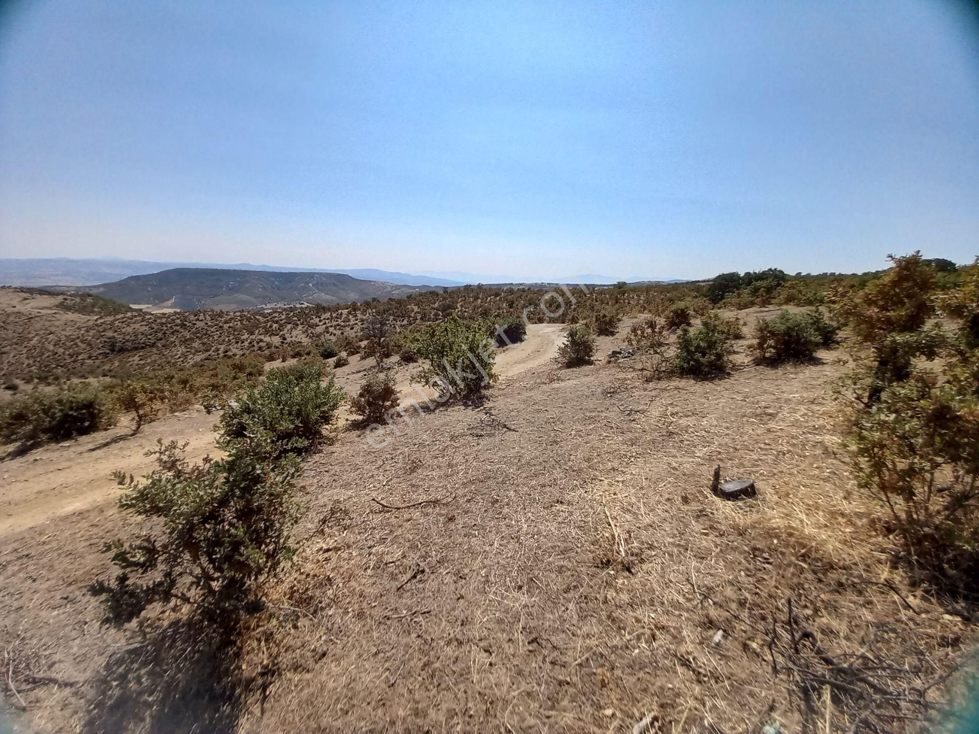 Akhisar Kocakağan Da Tarım Ve Hayvacılığa Uygun Satılık 21.600 M2 Tarla