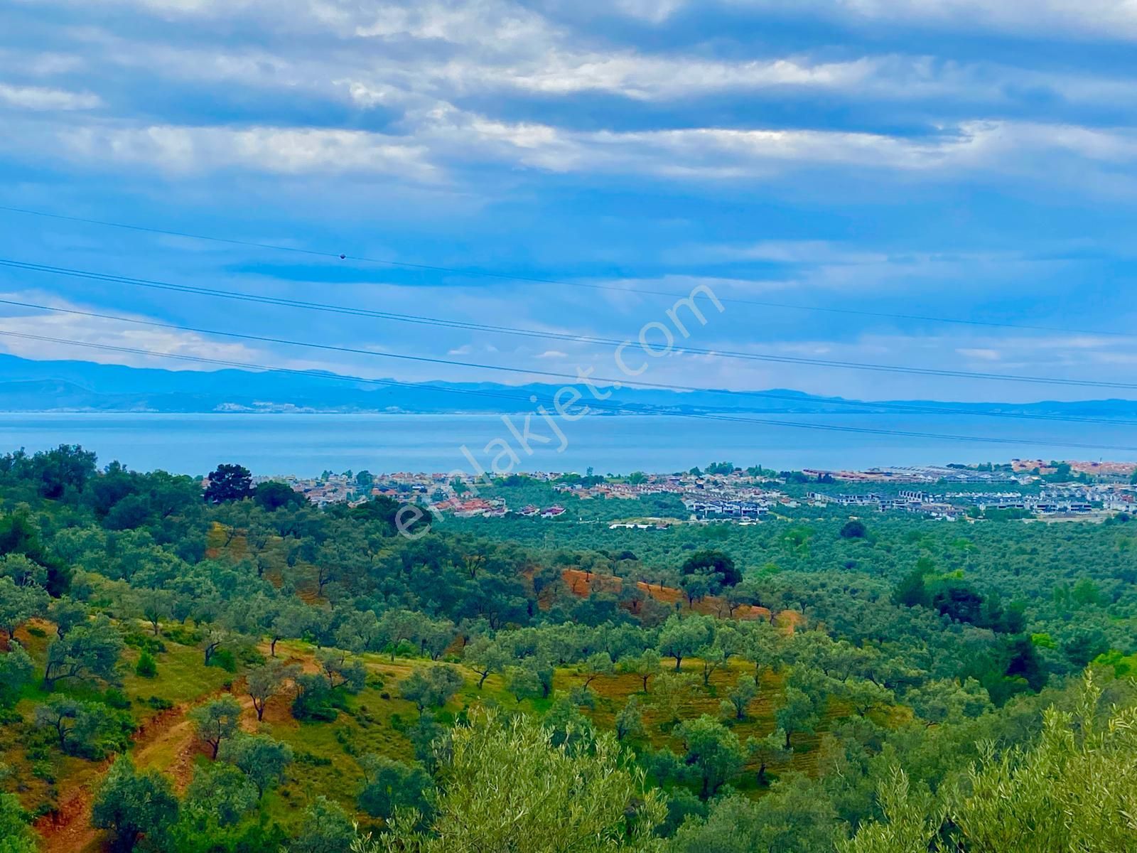 ⫸best Emlak'tan⫷güre 'de Her M2'sinden Deniz Manzaralı Zeytinlik