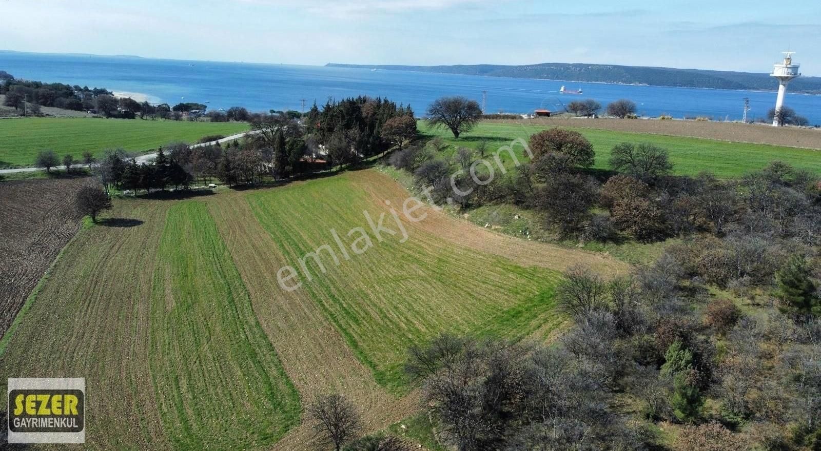 !!!çanakkale Dardonos Müçavir Alan İçinde 8200m2 Satılık Tarla