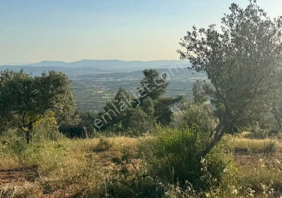 Torbalı Dirmil’de 202 M² Yatırımlık Arsa