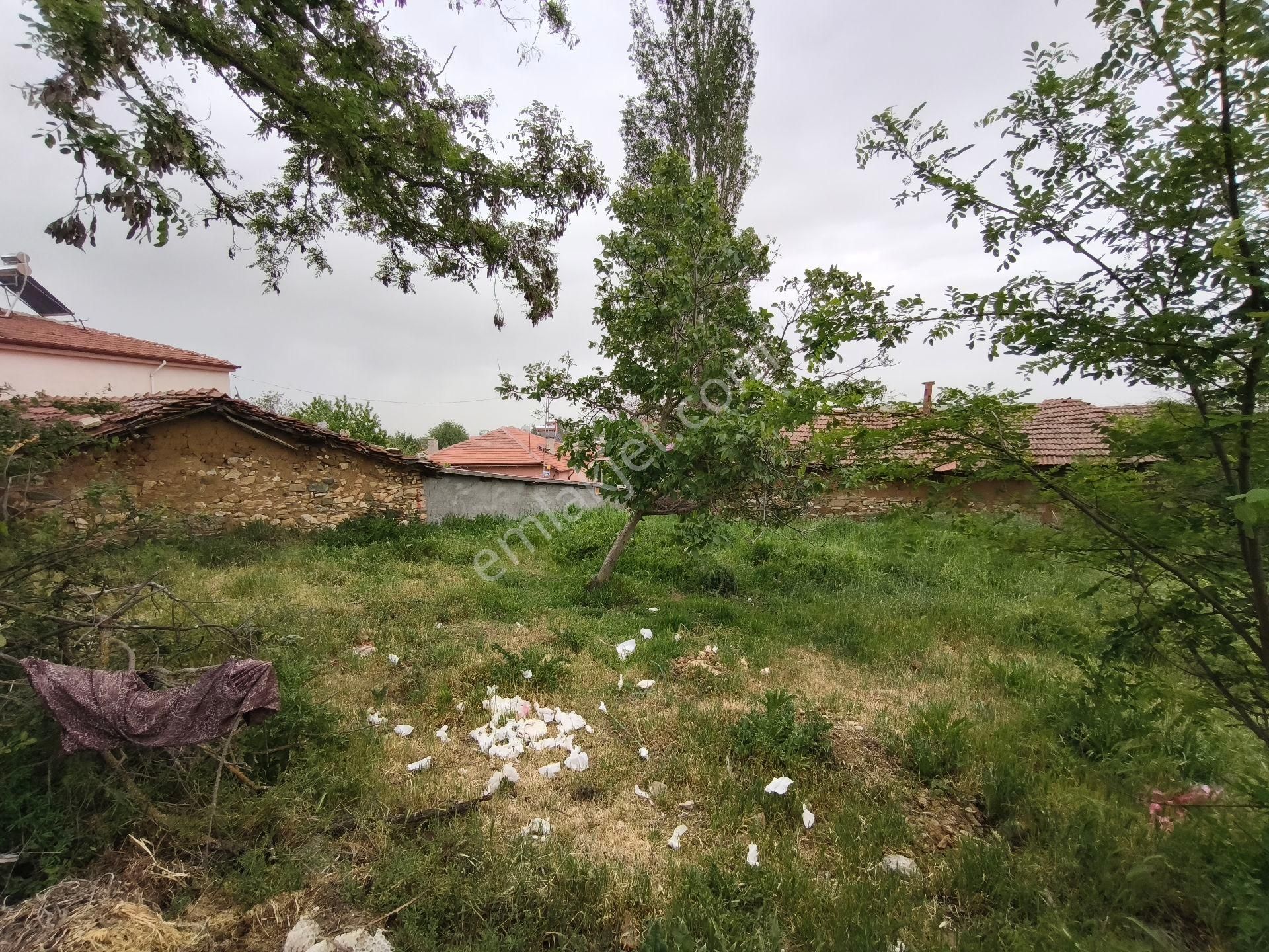 Nova Dan Uludere Satılık Bahçe