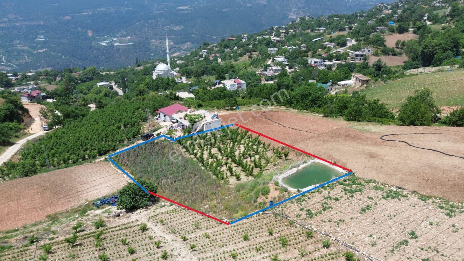 Erdemli Çamlı'da Harika Konumda Yaylalık Bahçe...