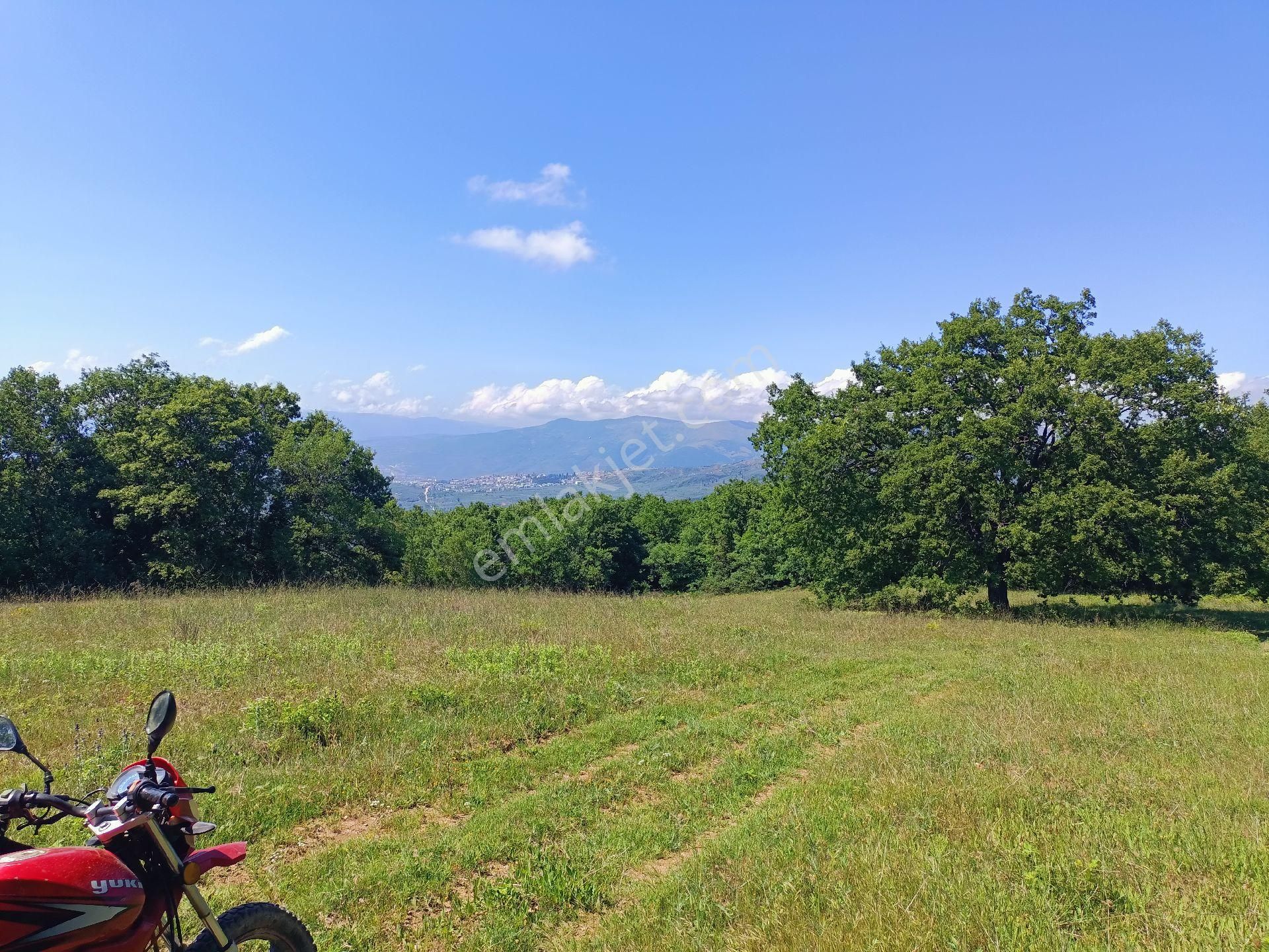 Gemlik Adliye De 6339m2 Yerleşime 1 Km Manzaralı Tarla - Görsel 2