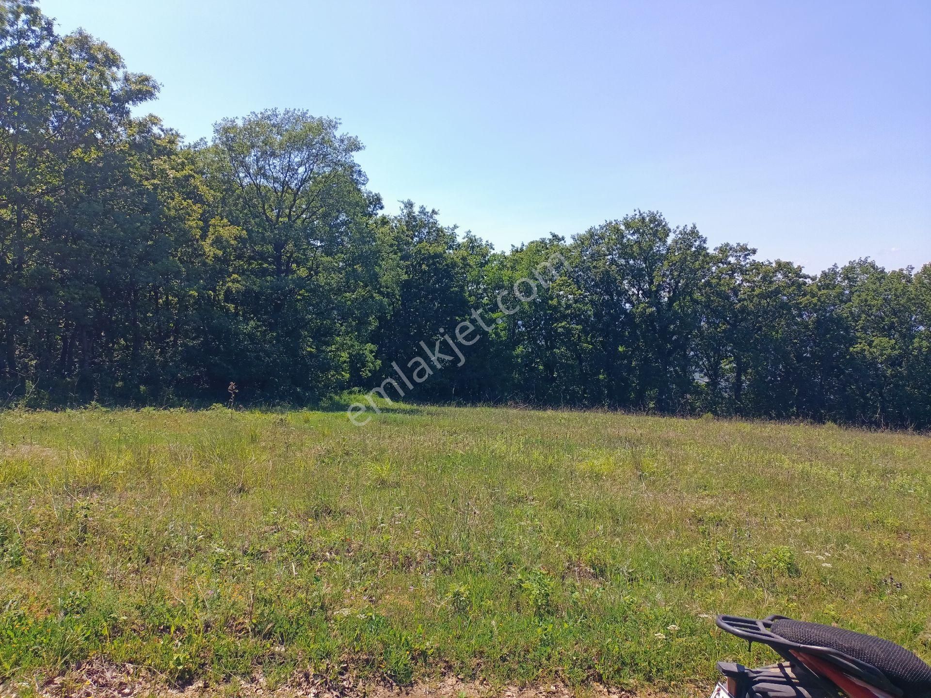 Gemlik Adliye De 6339m2 Yerleşime 1 Km Manzaralı Tarla - Görsel 3