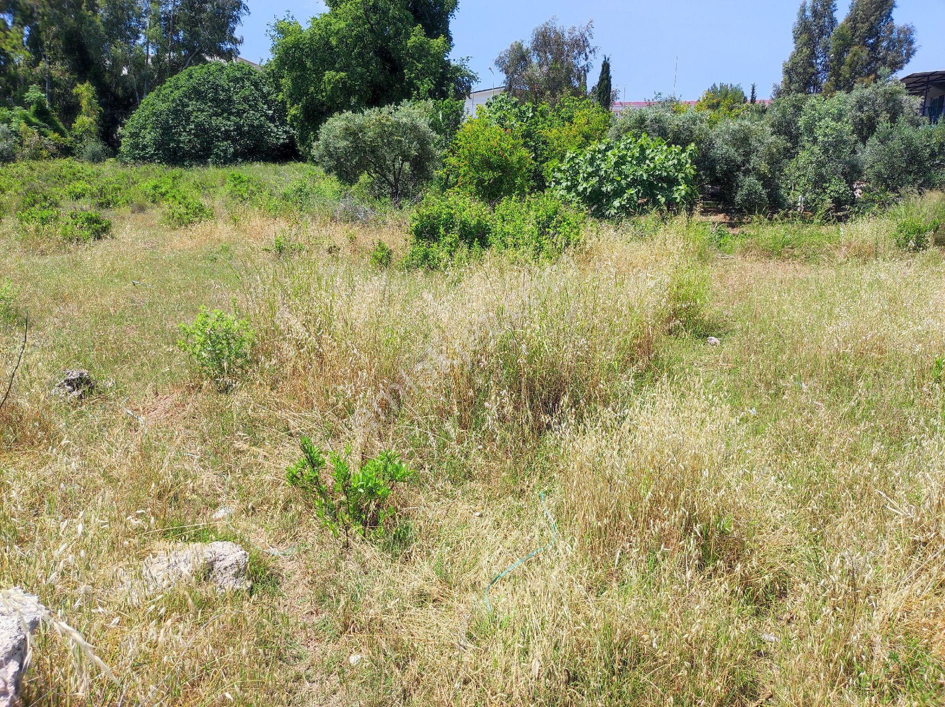 Gms Emlak'tan Karataş'ta Adana Yoluna 2. Parsel Satılık Eşsiz 711m² Mükemmel Konumda Arsa - Görsel 7