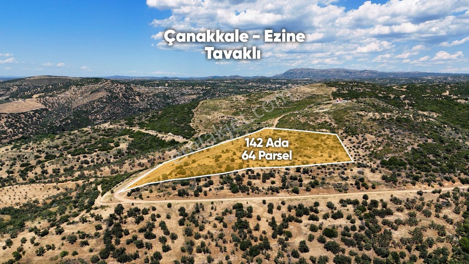 Ezine Tavaklı Köyünde 18 Dönüm Full Deniz Manzaralı Zeytinlik!
