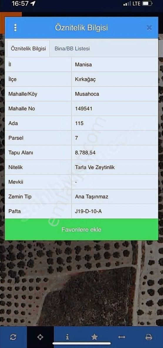 Bayat-musahoca-küçükyaya Satılık Zeytinlikler - Görsel 32