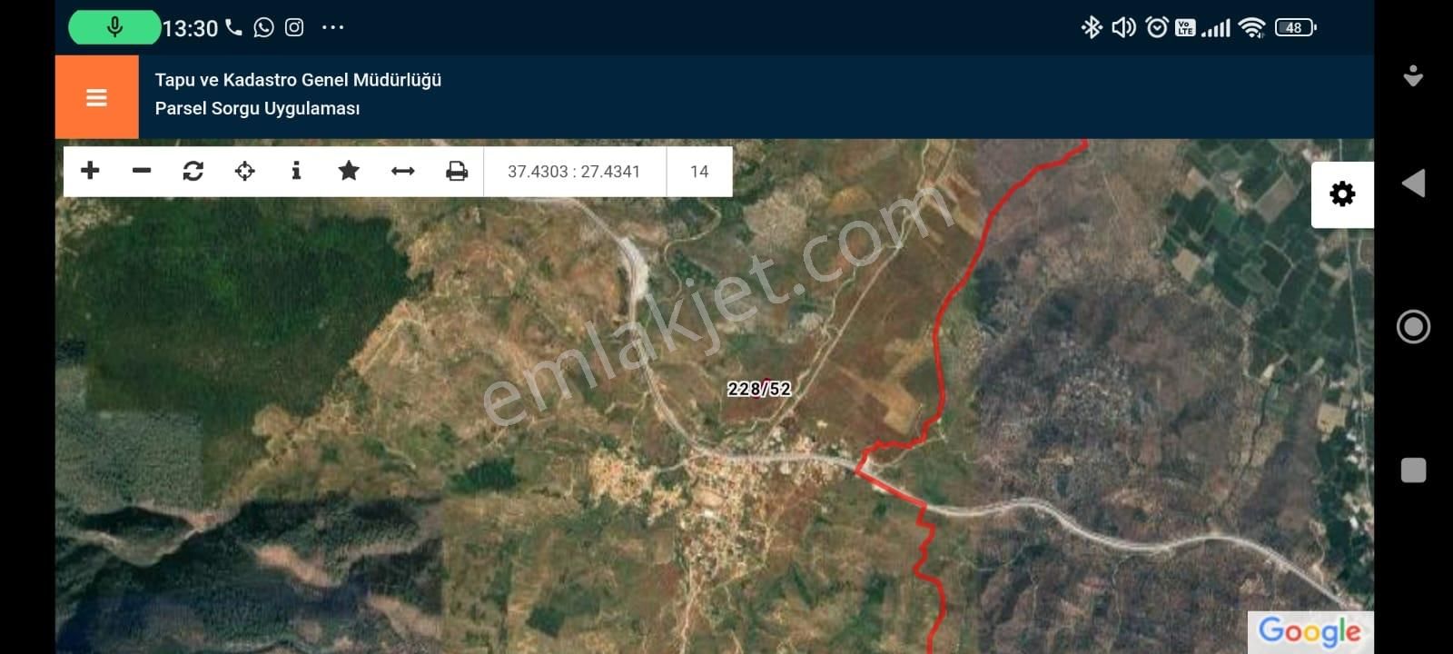 Milas Pınarcık Ta Ana Yola 250 Metre Kupon Zeytinlik Kaçmaz