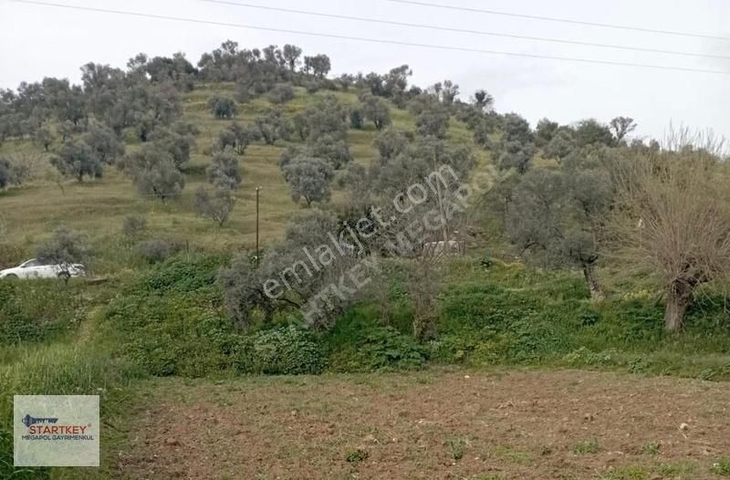 Tire Kocaalıler De Satılık 970m2 Tarla