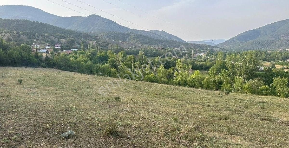 Cadde Emlak Tan Acıöz De Satılık 3.245 M2 Tarla
