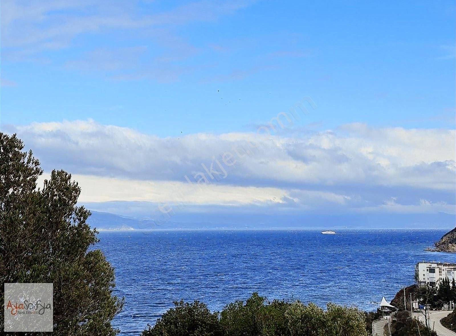 Mudanya Kumyaka Satılık Deniz Manzaralı 6237m2 Zeytinlik