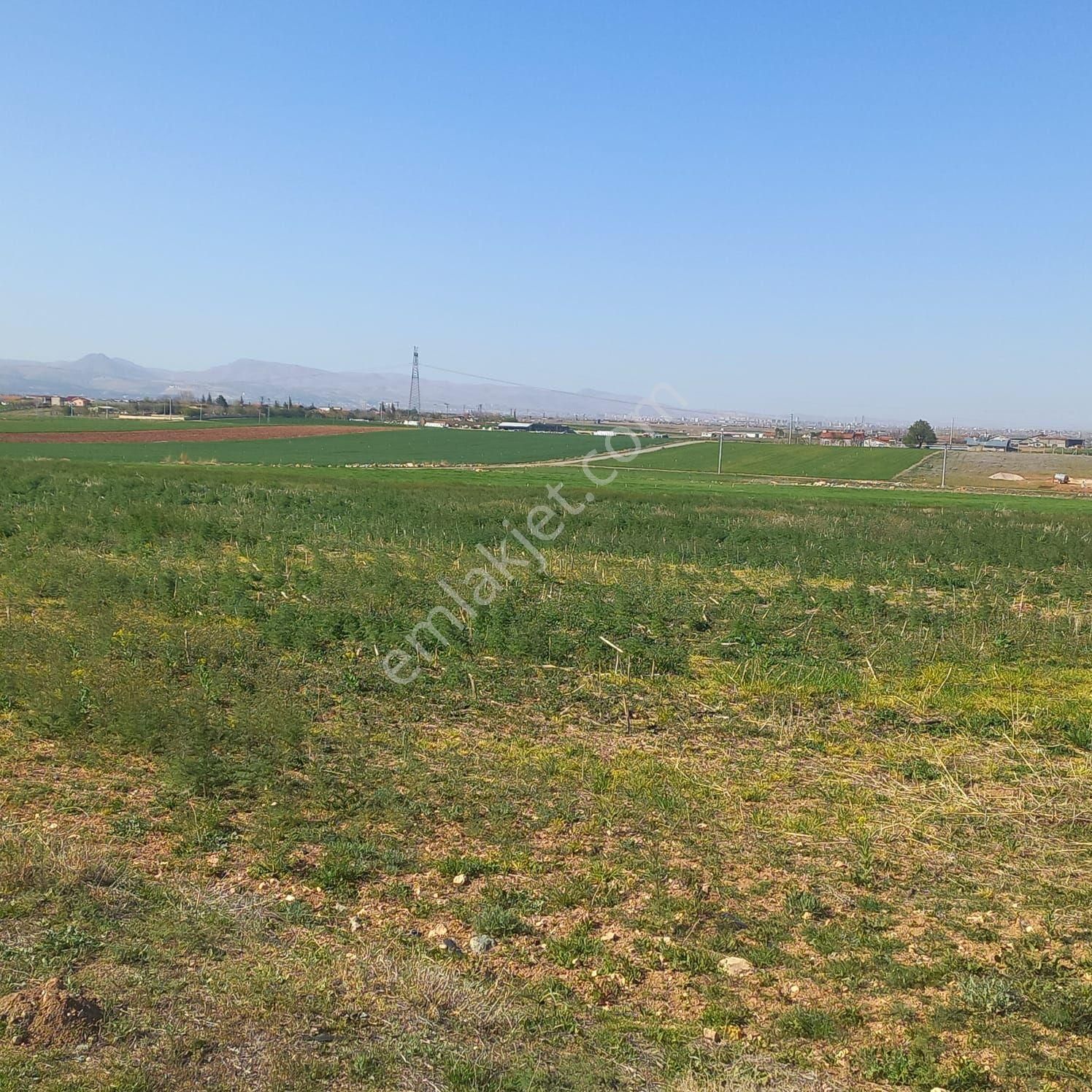 Meram Yeni Bahçe Mhs Sinde 10360 Mtr Kare Yerimiz Satlık - Görsel 4