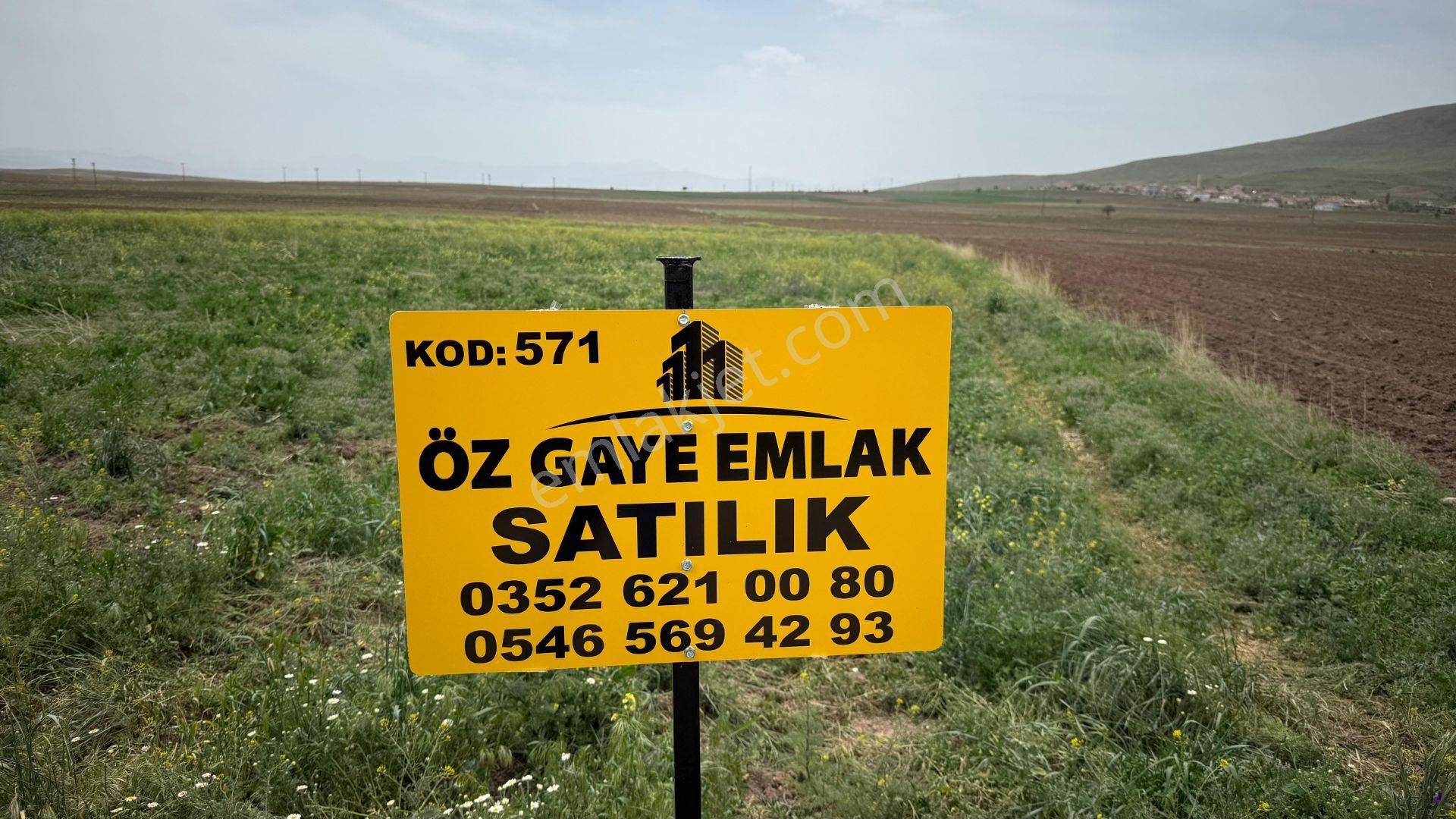 Öz Gaye Emlaktan Develi Ayvazhacı Mahallesinde Satılık Tarla