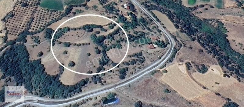 Salihli Çelikli'de Mükemmel Konumda Kelepir Tarla