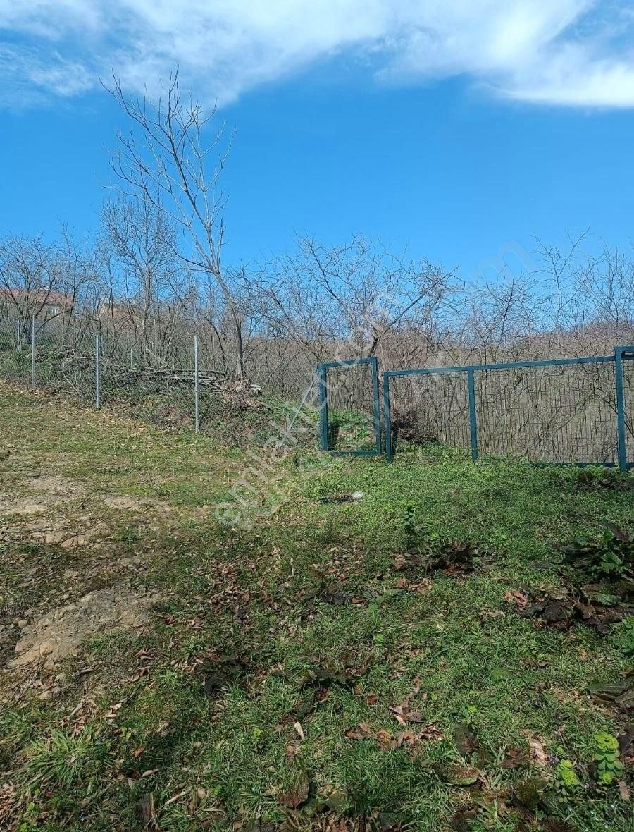 1.600 M2 İmarlı Arsa