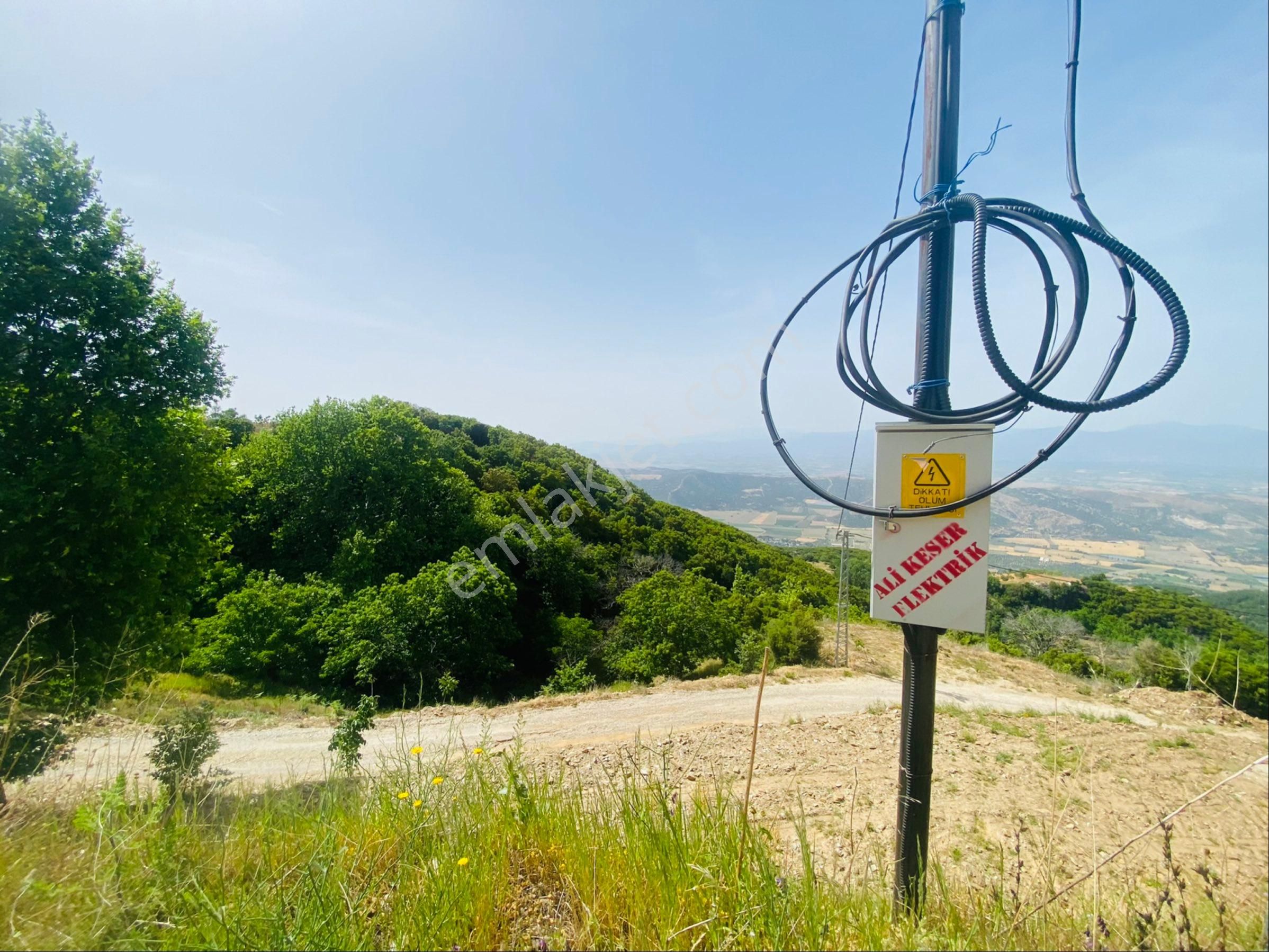 Tire Şahin Gayrimenkulden Çukurköy De Satılık Arsa - Görsel 8