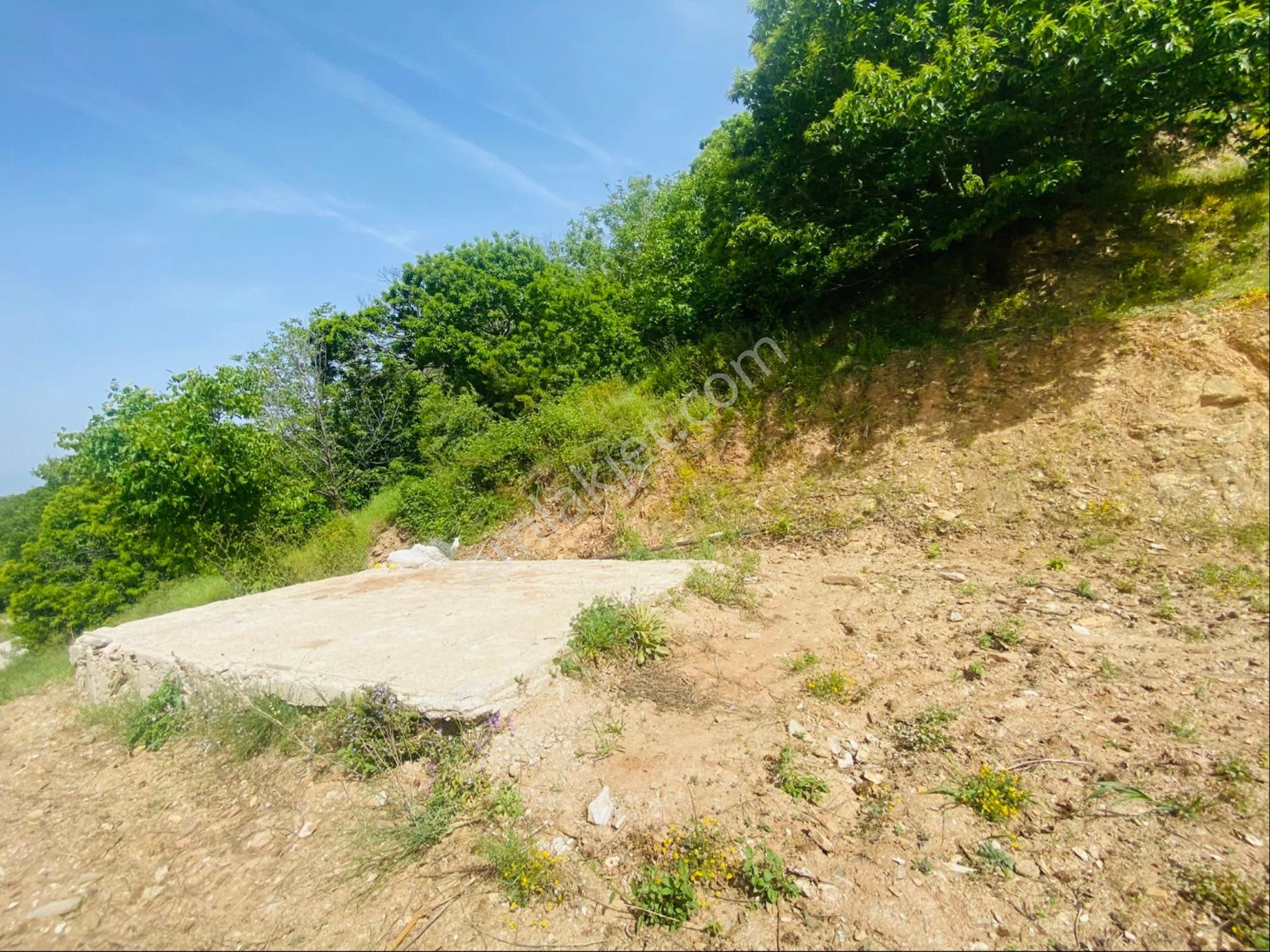 Tire Şahin Gayrimenkulden Çukurköy De Satılık Arsa - Görsel 3