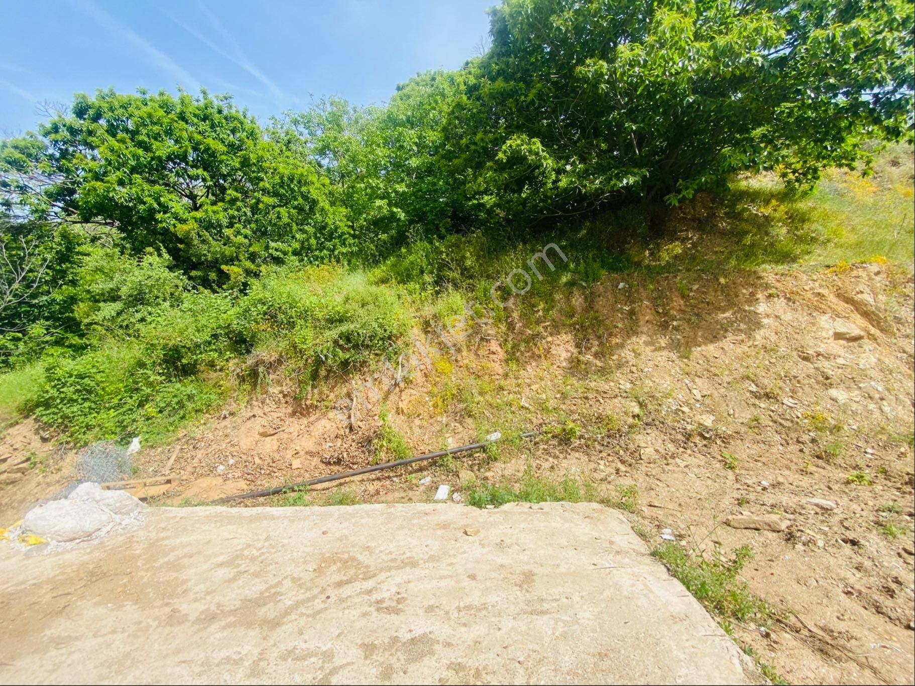 Tire Şahin Gayrimenkulden Çukurköy De Satılık Arsa - Görsel 4