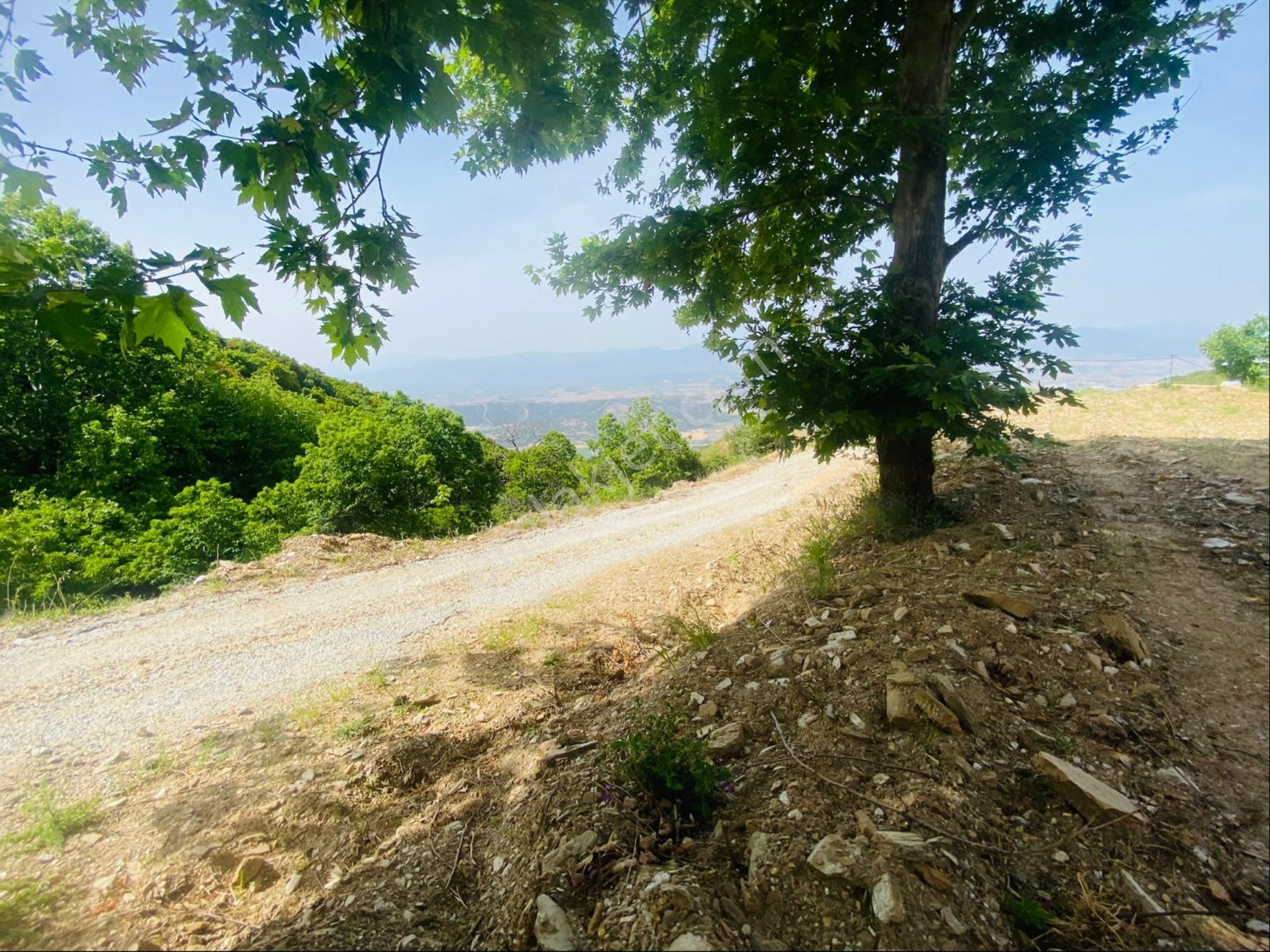 Tire Şahin Gayrimenkulden Çukurköy De Satılık Arsa - Görsel 7