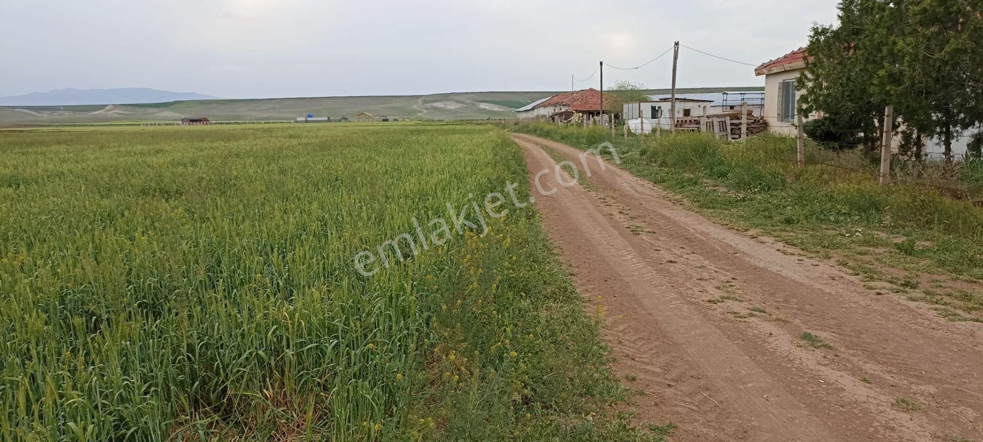 Ankara Sincan Anayurt Satılık Tarla Al Kazançlı Çık