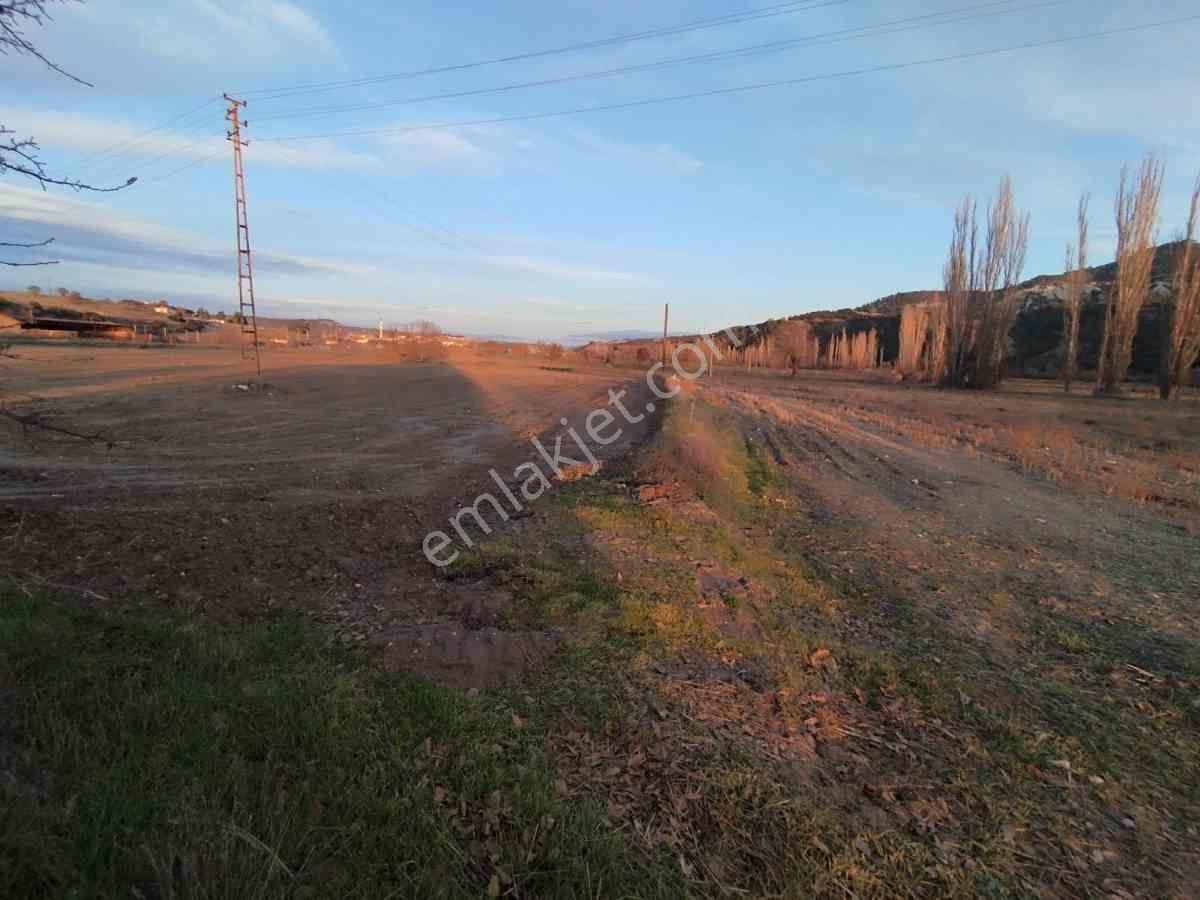 Manısa Selendı Aşağıtefen'de Satılık Tarla