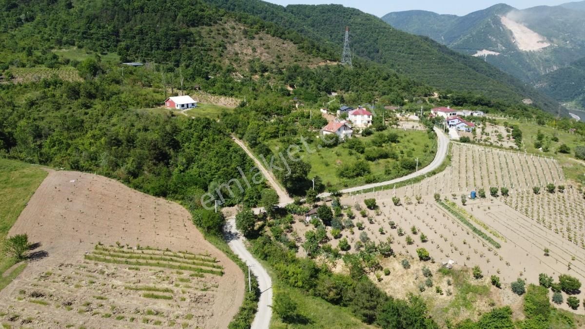 Sakarya Geyve Bağlarbaşında 10910 M2 Yola Cepheli Satılık Bahçe