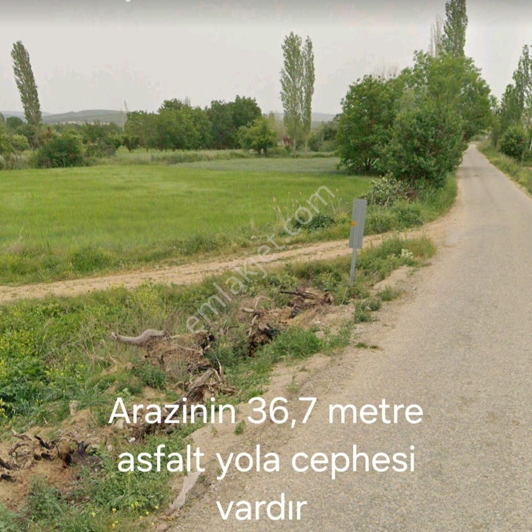 Uşak Merkez Ortaköyde Satılık Muhteşem Tarla