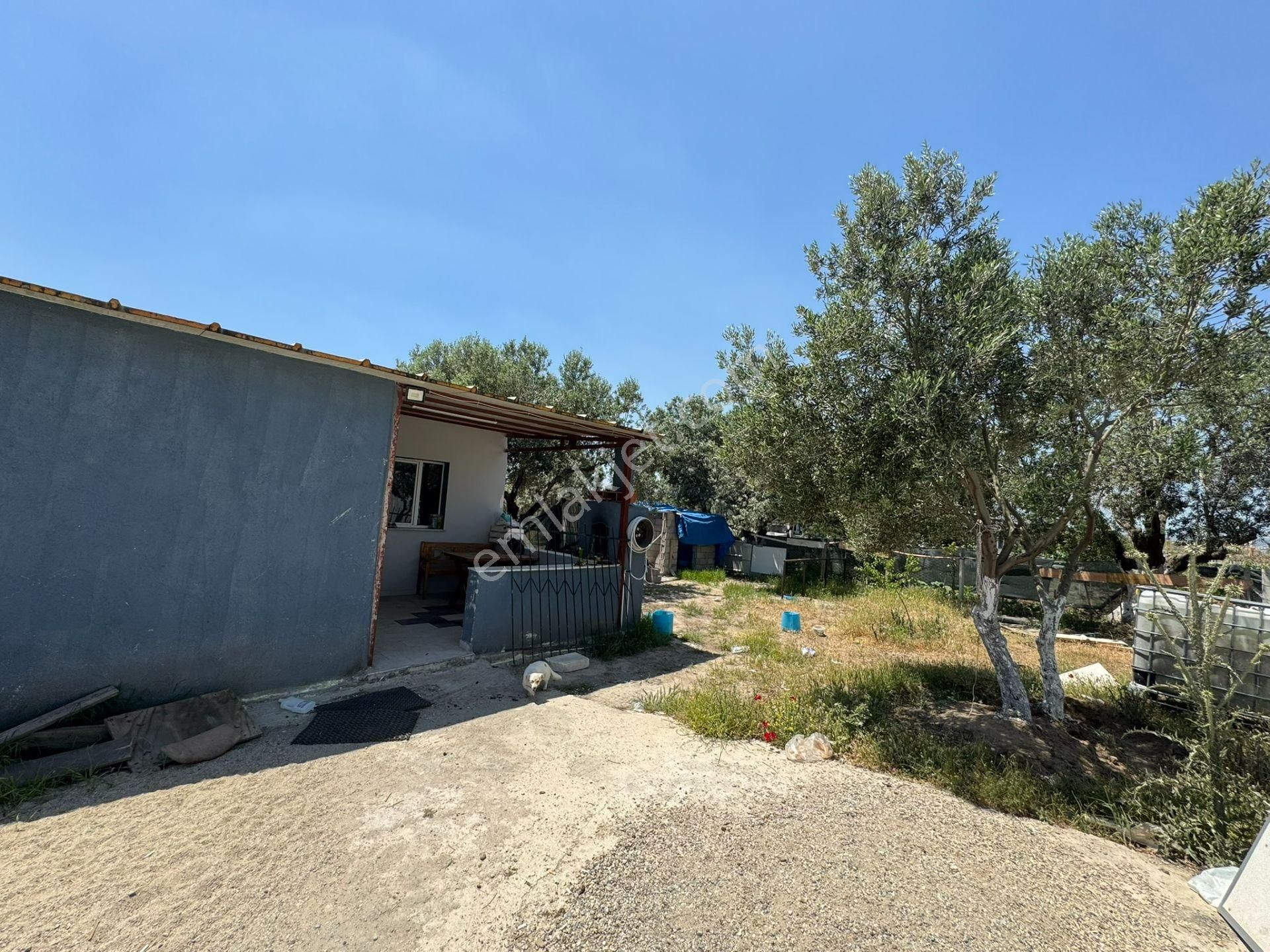 İzmir Menemen Türkelli'de İçinde 1+1 Evi Olan Hobi Bahçesi