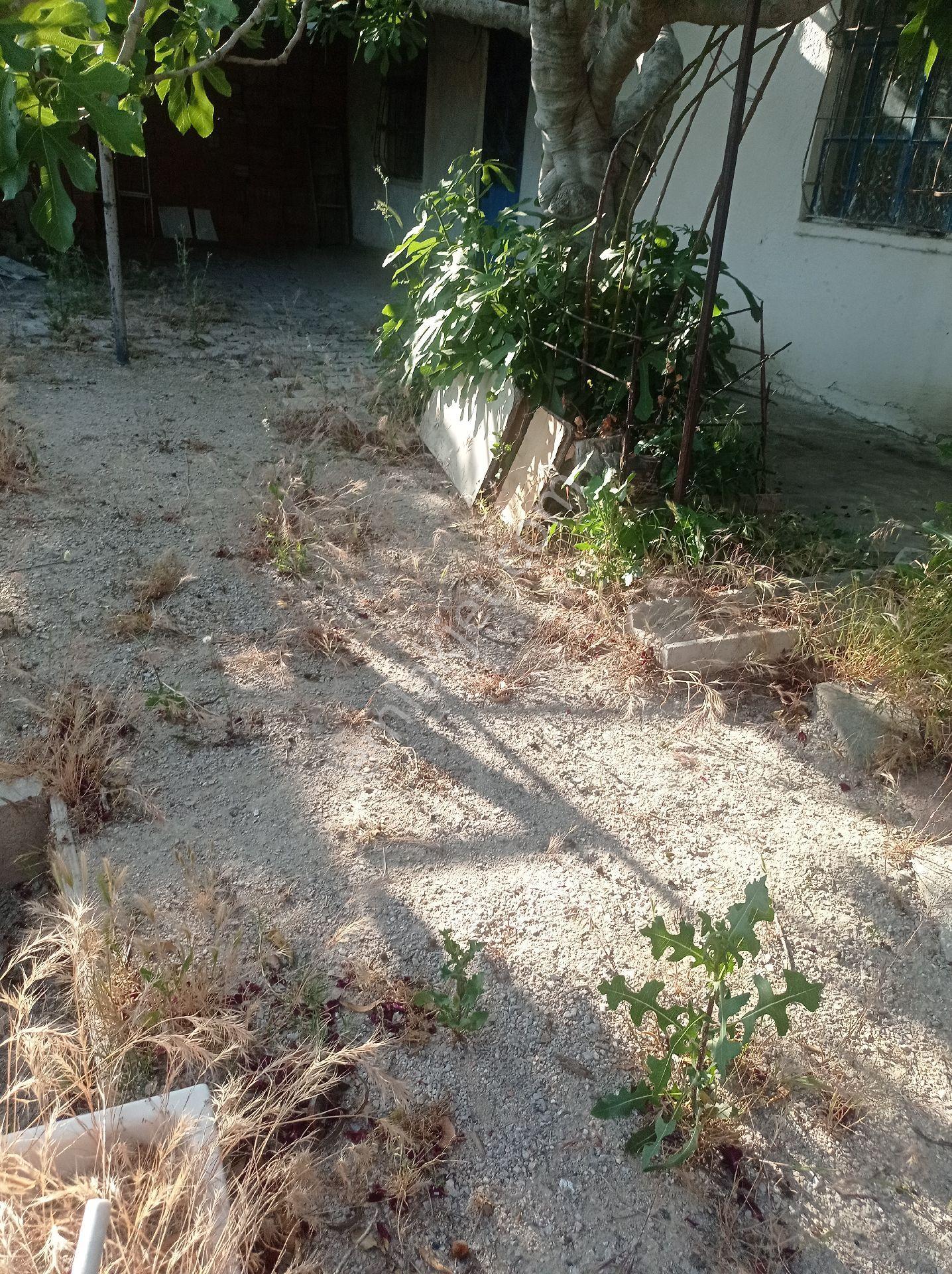 Yeliz'den Manisa Soma'da Satılık Müstakil Ev - Görsel 12