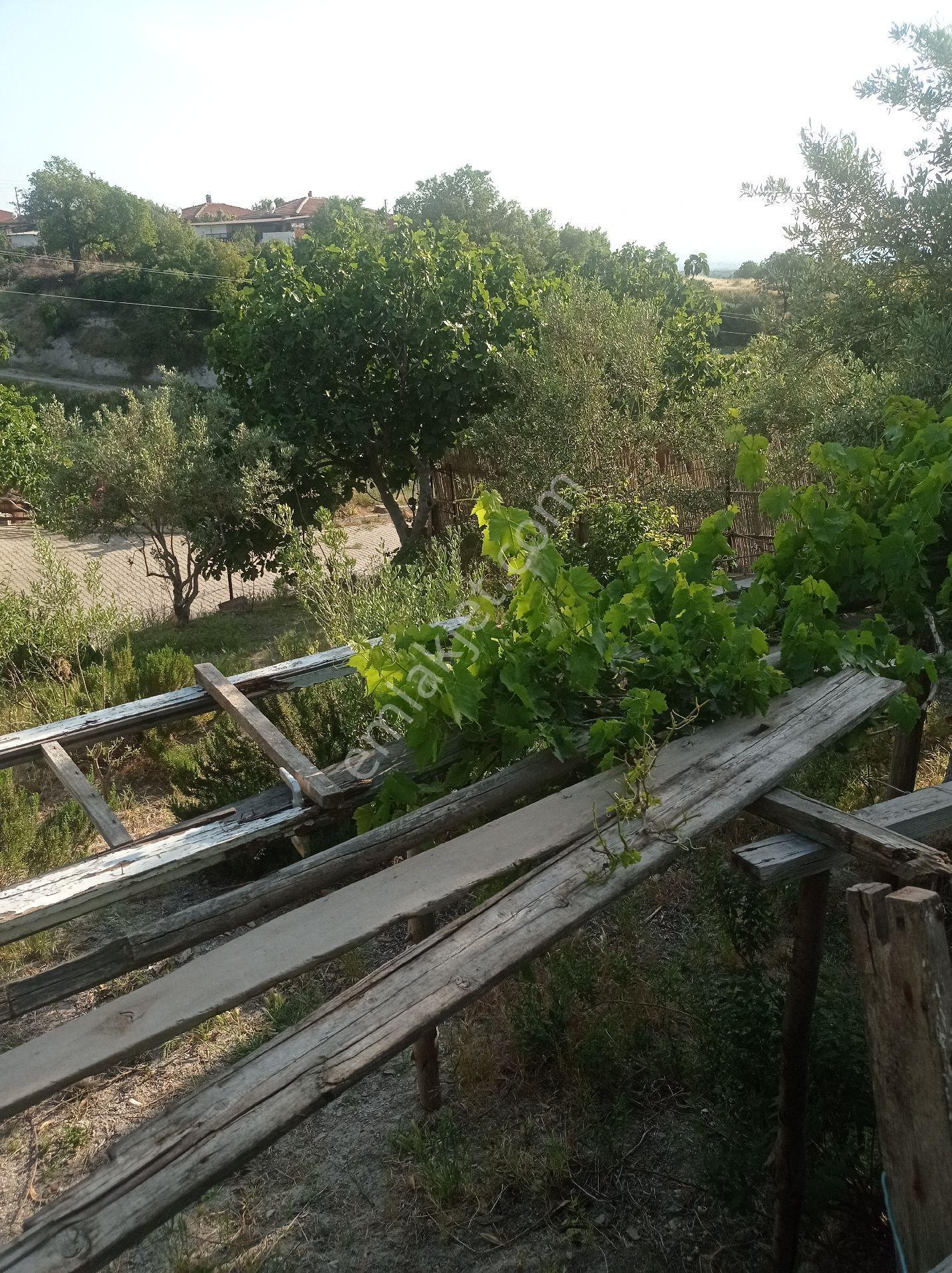 Yeliz'den Manisa Soma'da Satılık Müstakil Ev - Görsel 6