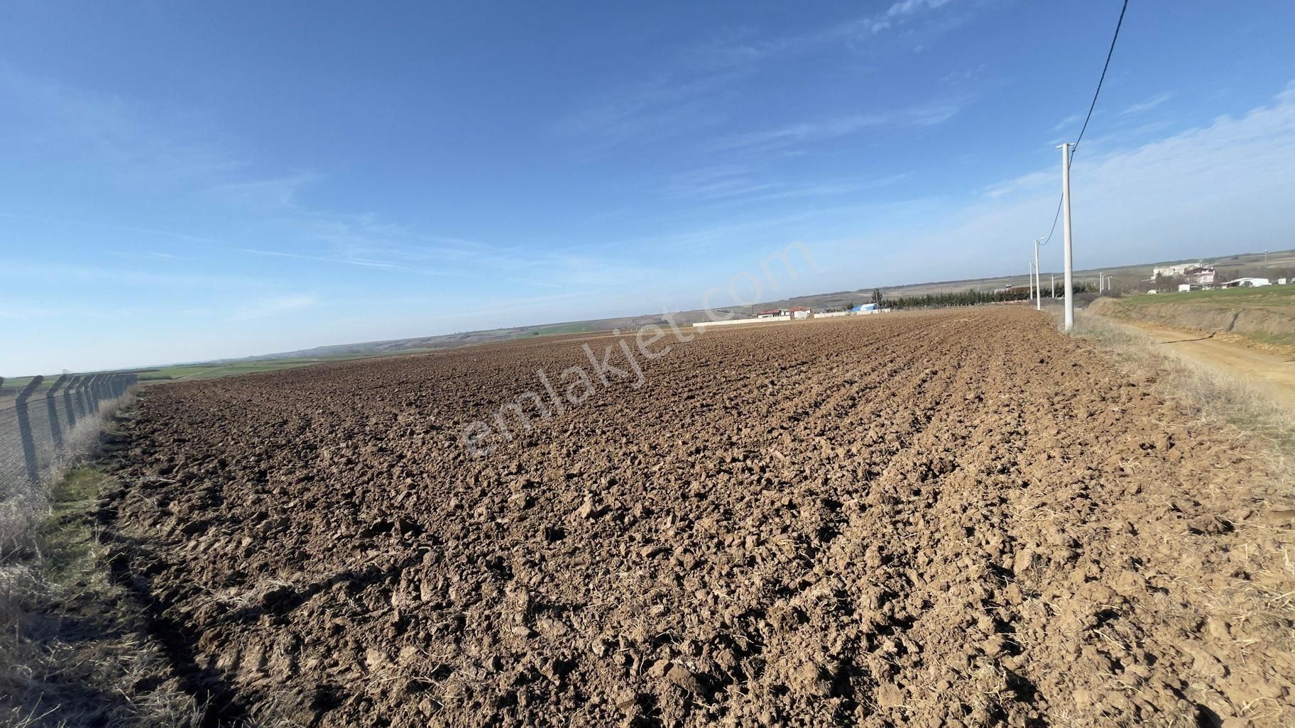 Tekirdağ Saray Yuvalı Satılık İmar Sınırı Yola Sıfır Tarla