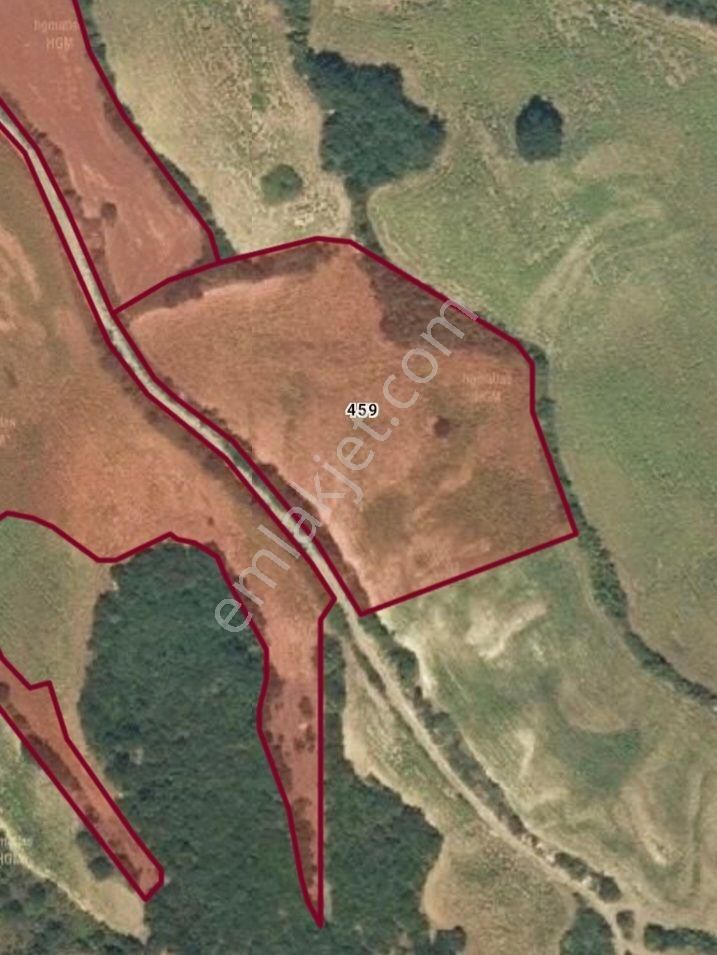 Babaköy-aris Köy De 7200 M2 Tarla