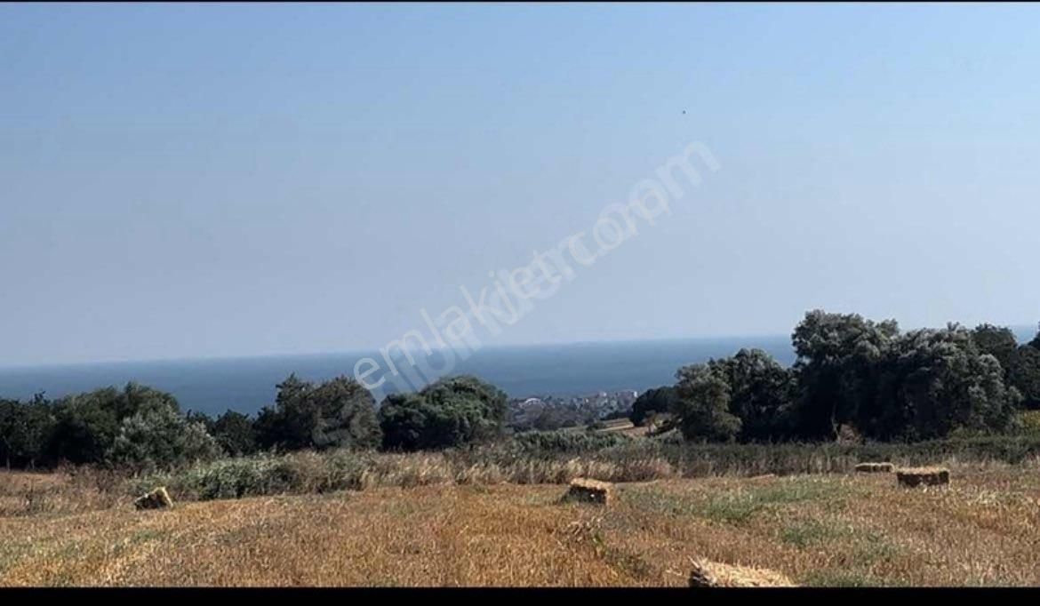 Büyüekmece Celaliye Arsa