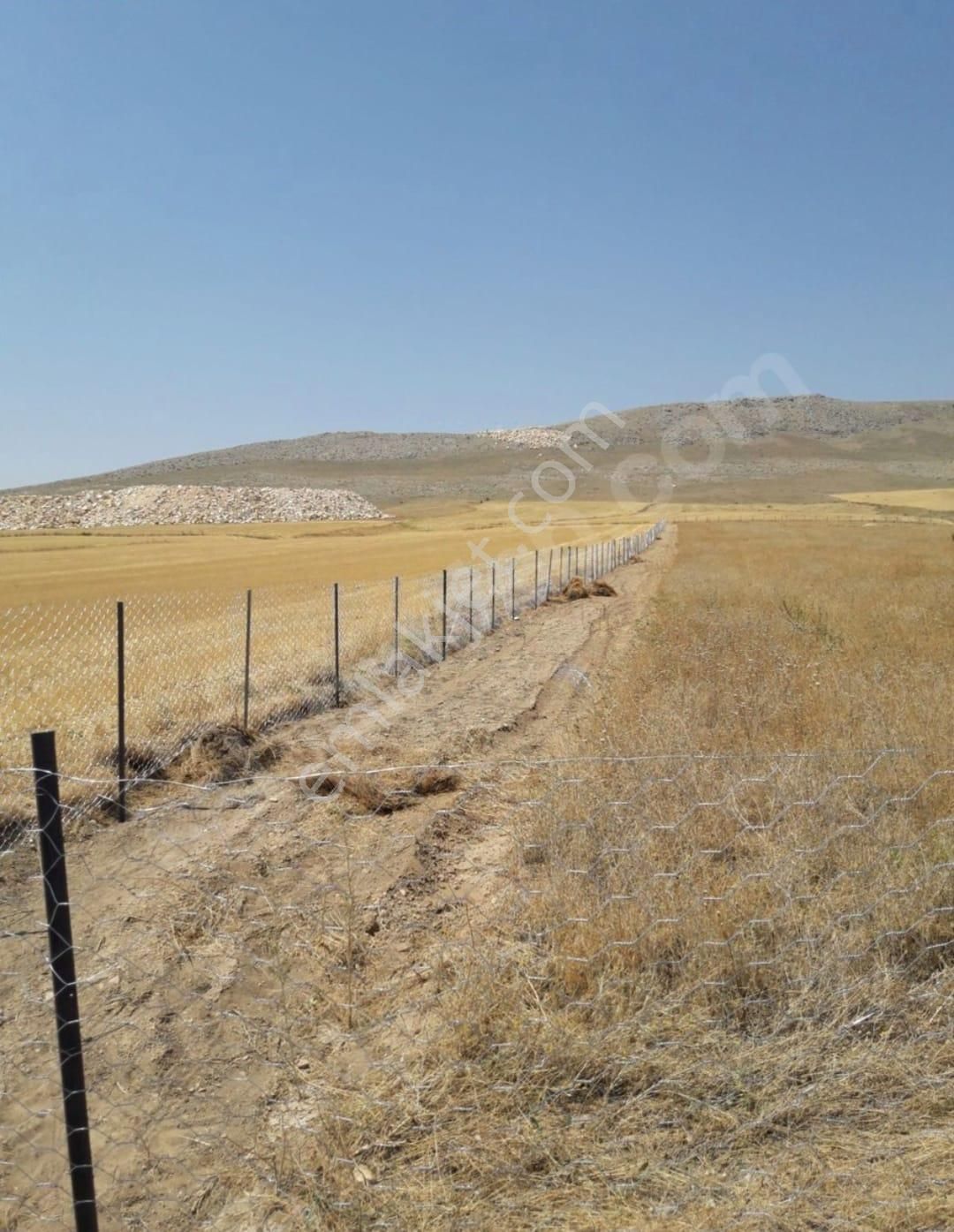 Mustakil Tapulu 18,420 M2 Arazi