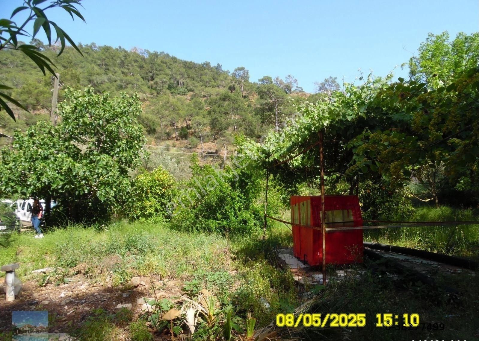 Aslanbucak Ta Satılık Müstakil Ew Takaslı - Görsel 31