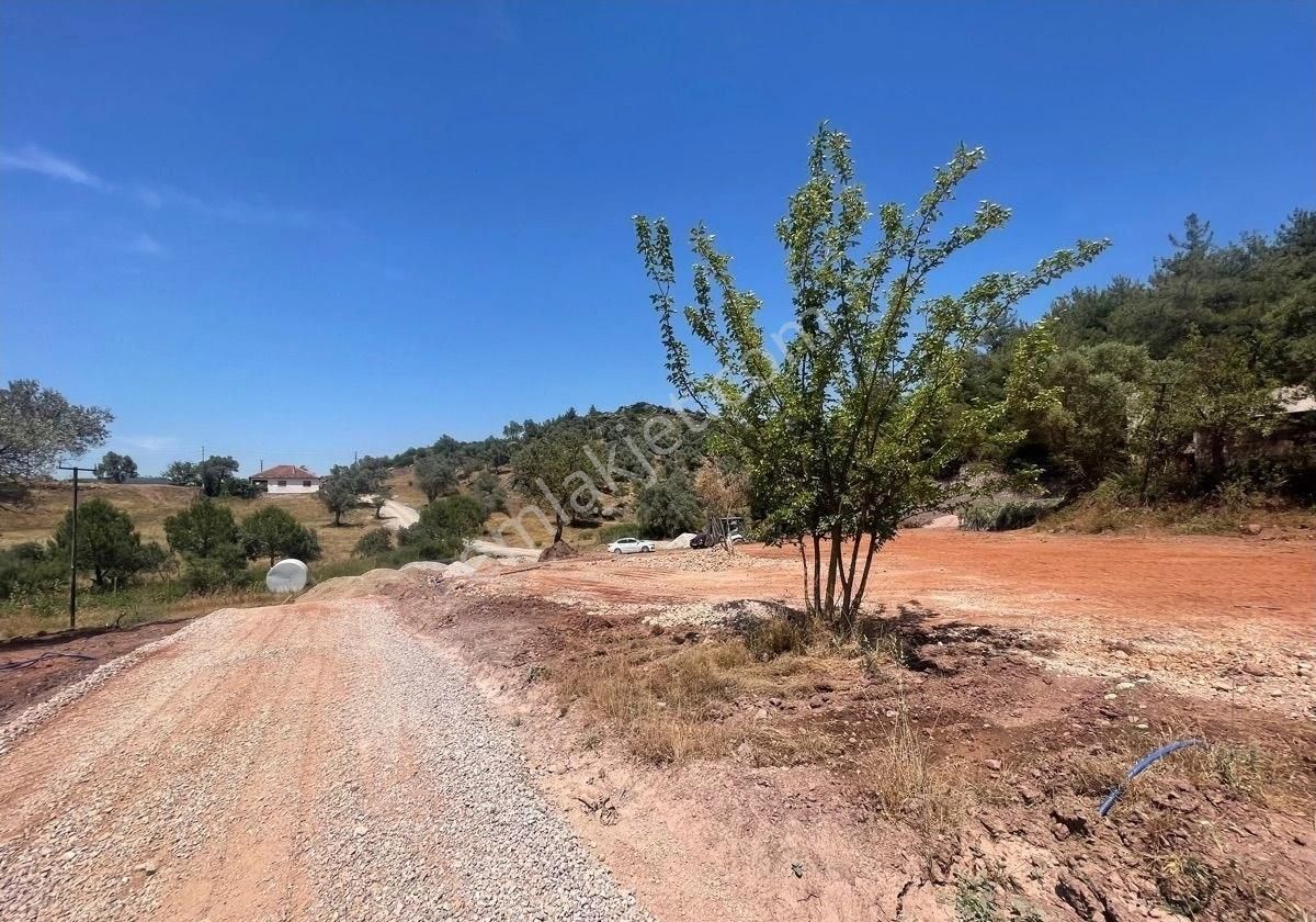 İzmir Seferihisar Doğanbey Orhan’lı Da Satılık Hisseli Arsa 250 M2 - Görsel 5