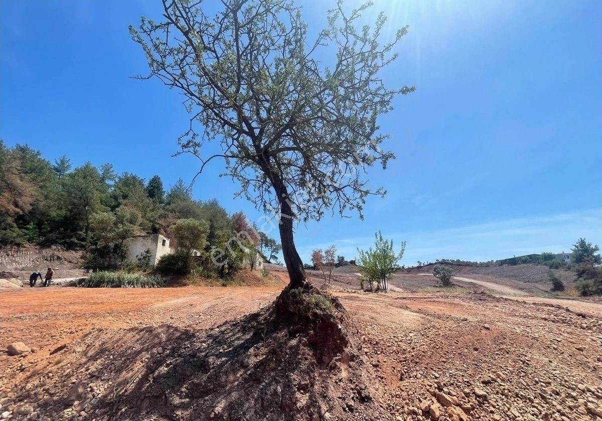 İzmir Seferihisar Doğanbey Orhan’lı Da Satılık Hisseli Arsa 250 M2 - Görsel 11
