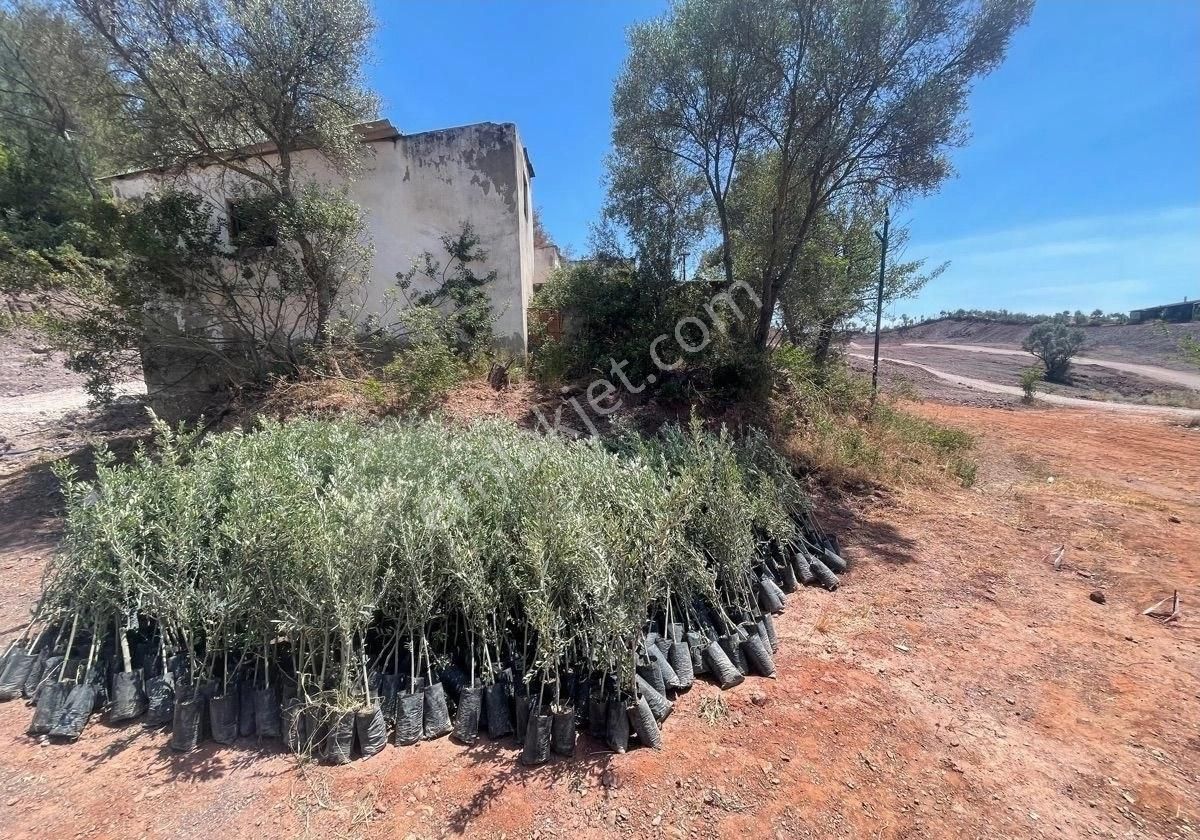 İzmir Seferihisar Doğanbey Orhan’lı Da Satılık Hisseli Arsa 250 M2 - Görsel 6