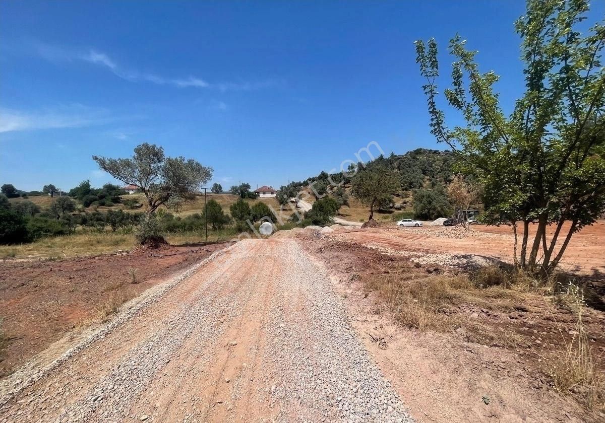 İzmir Seferihisar Doğanbey Orhan’lı Da Satılık Hisseli Arsa 250 M2
