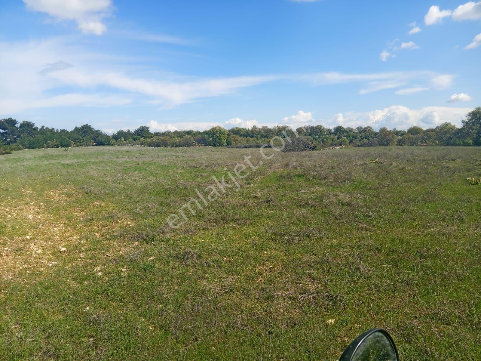 20457 M2 Acil Satılık Tarla