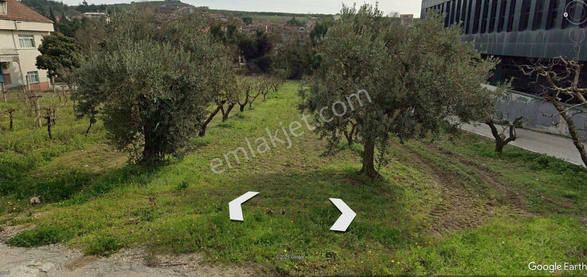 Çağrışan'da 974 M2 Ticari İmarlı Kiralık Değerli Arsa