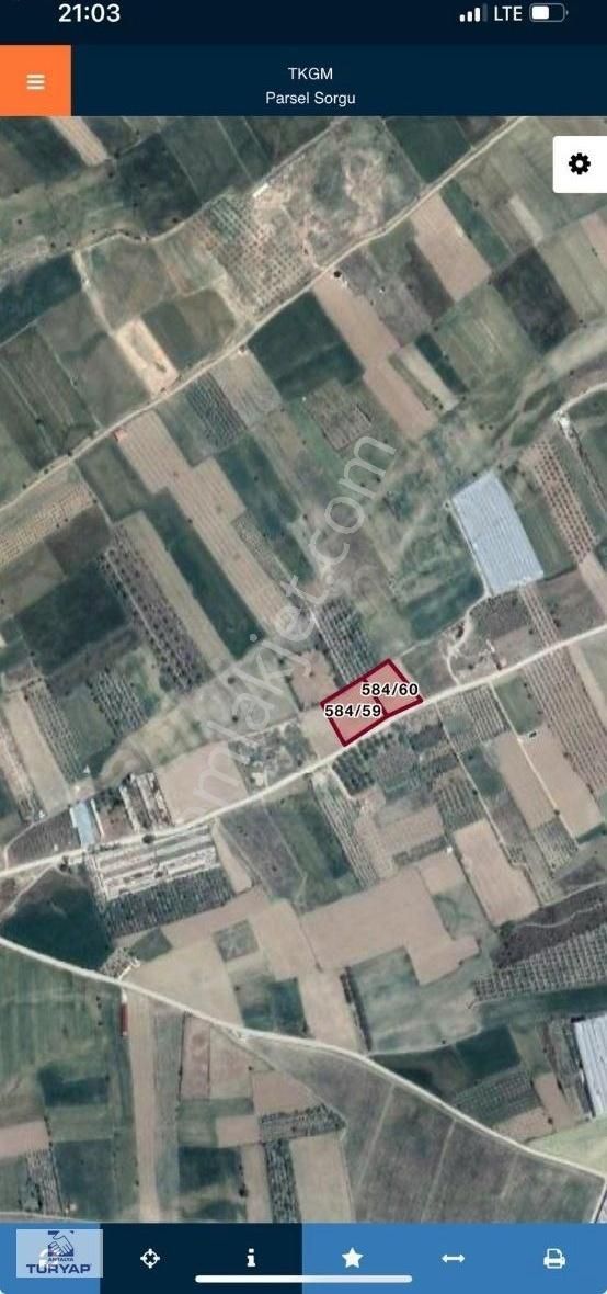 Korkuteli Yeşilyaylada Satılık Tarla