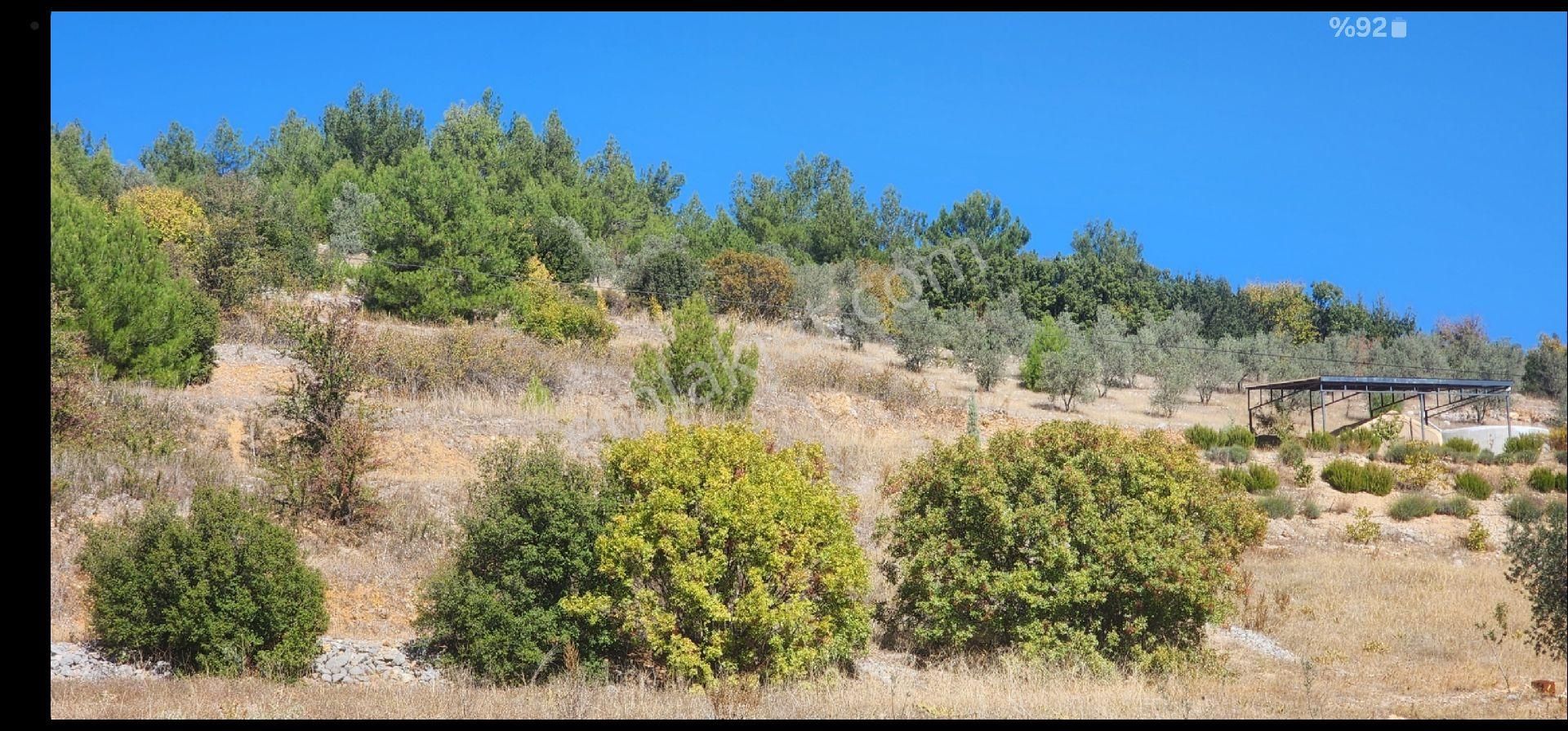 Mugla Yenikoy