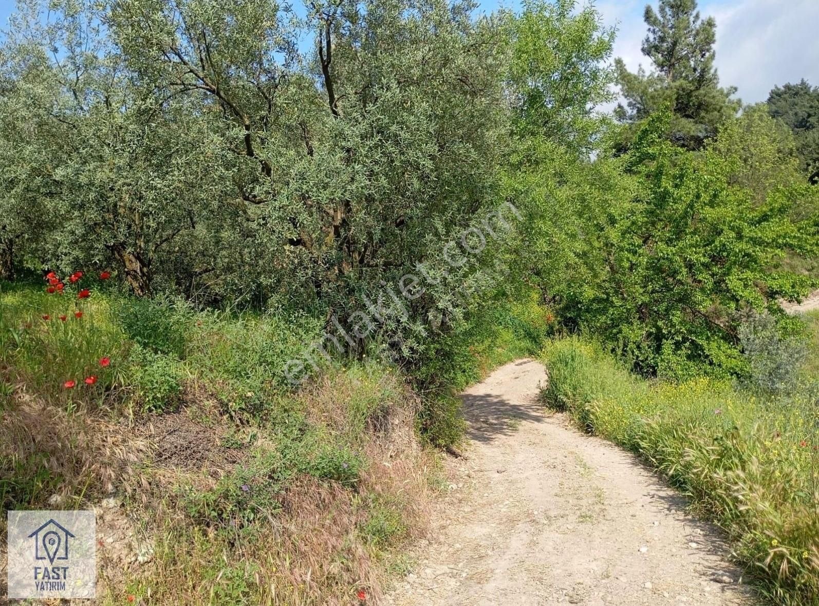 Mudanya Dereköyde Satılık Tarla