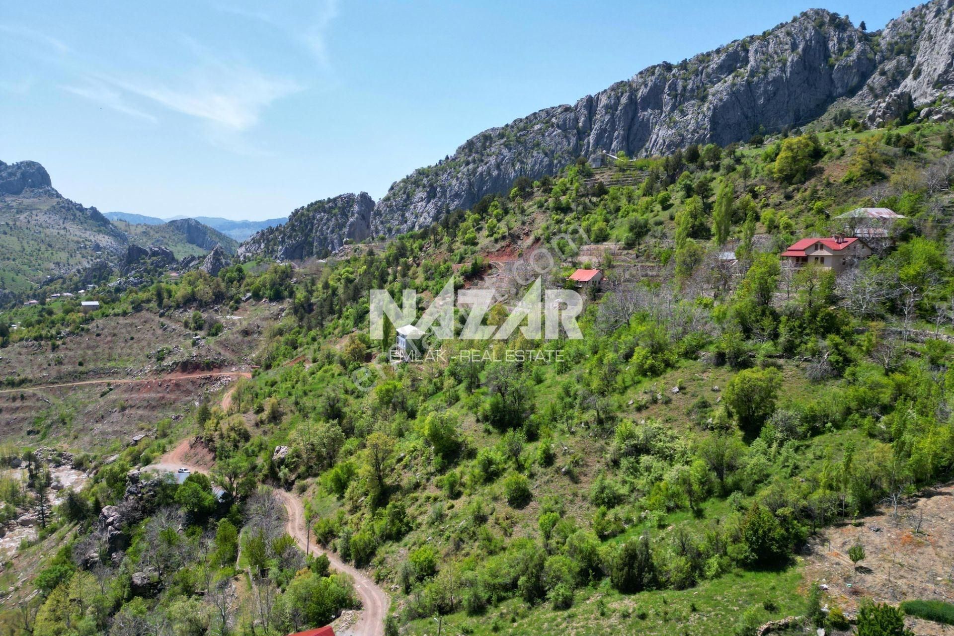 Alanya Şıhlar Köyü, Çayarası Yaylası’nda 1.689 M² Satılık Tarla - Görsel 15