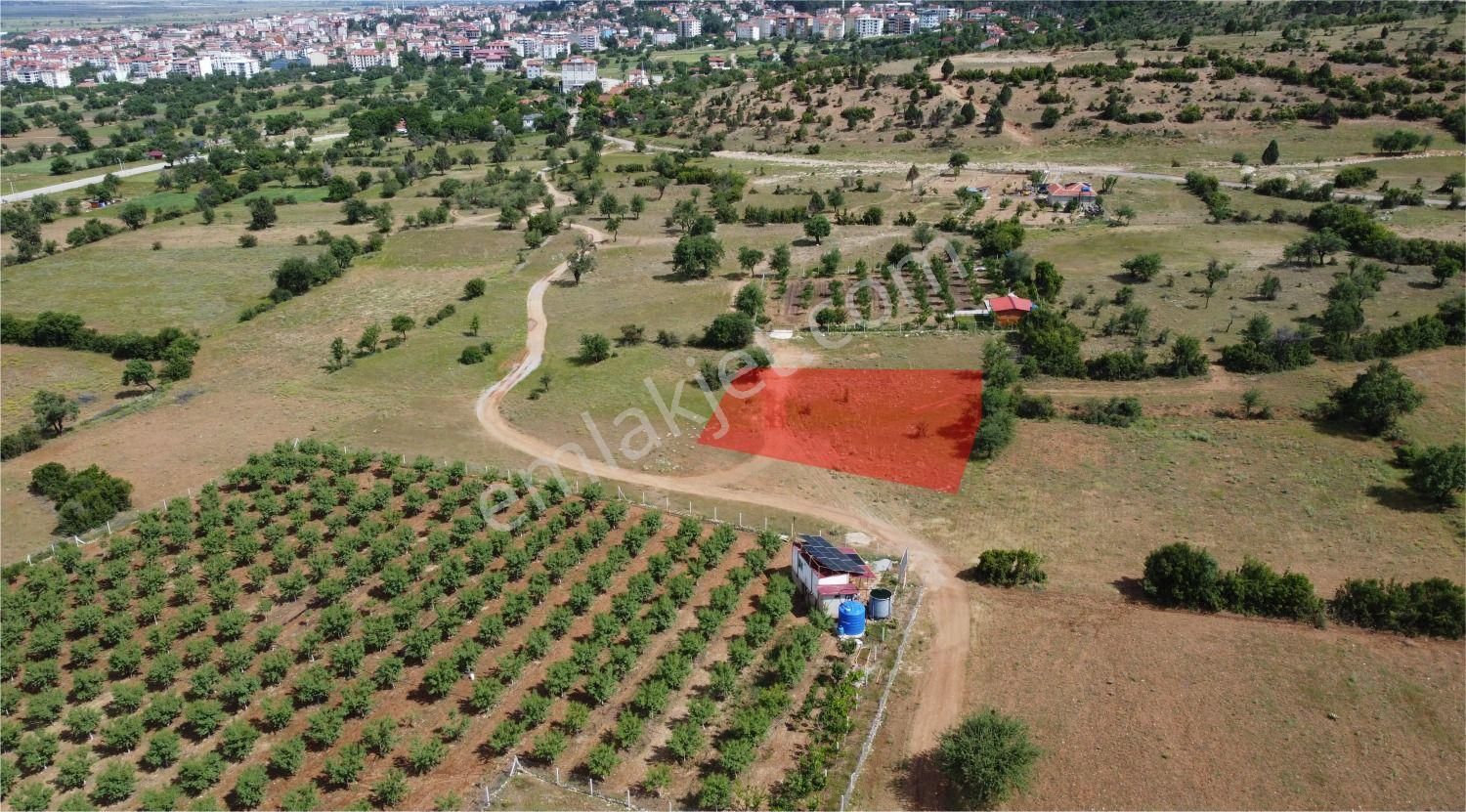 Acıpayam Toki Yakını Tarla