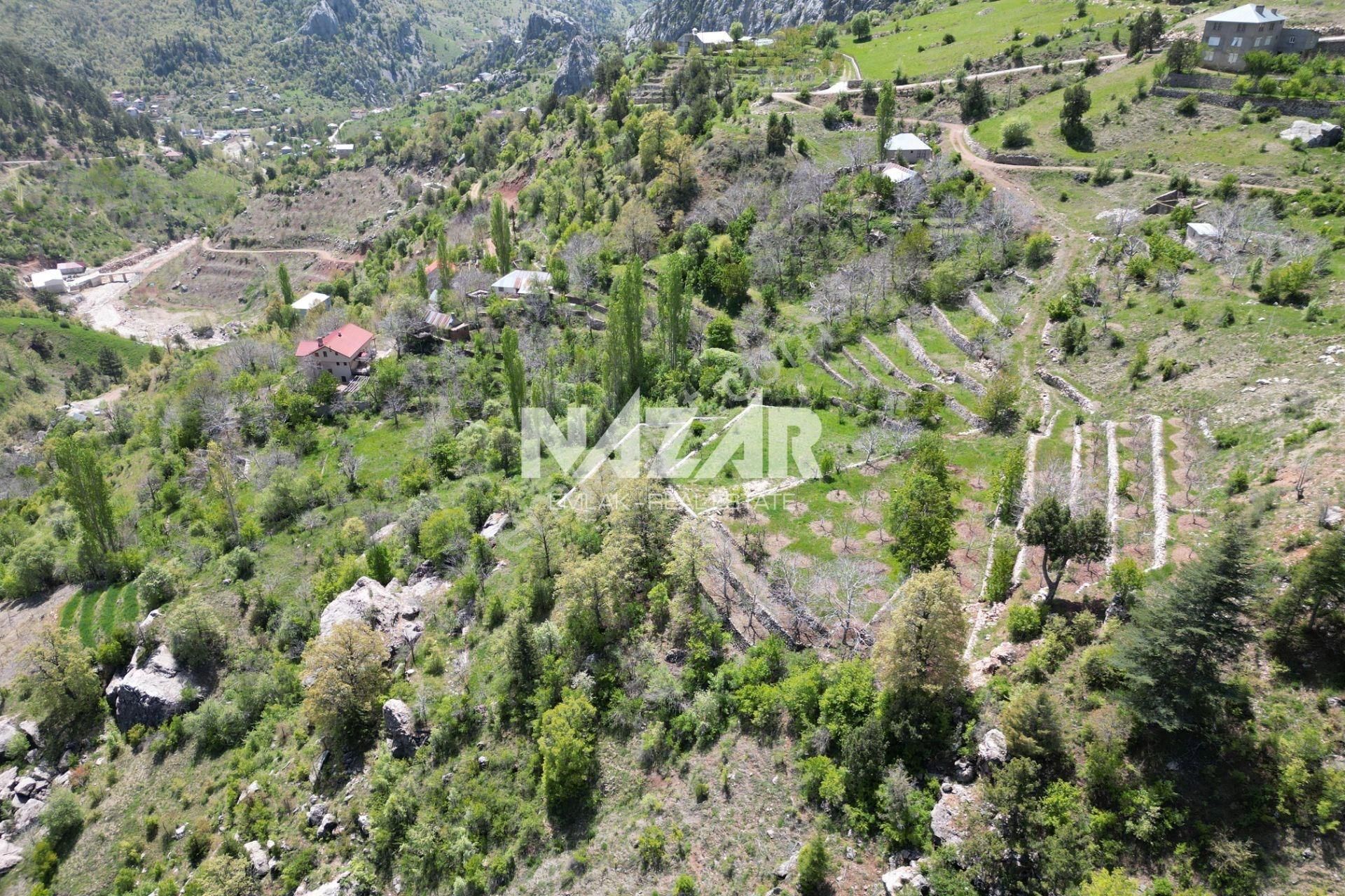 Alanya Şıhlar Köyü, Çayarası Yaylası’nda 1.074 M² Satılık Tarla - Görsel 11