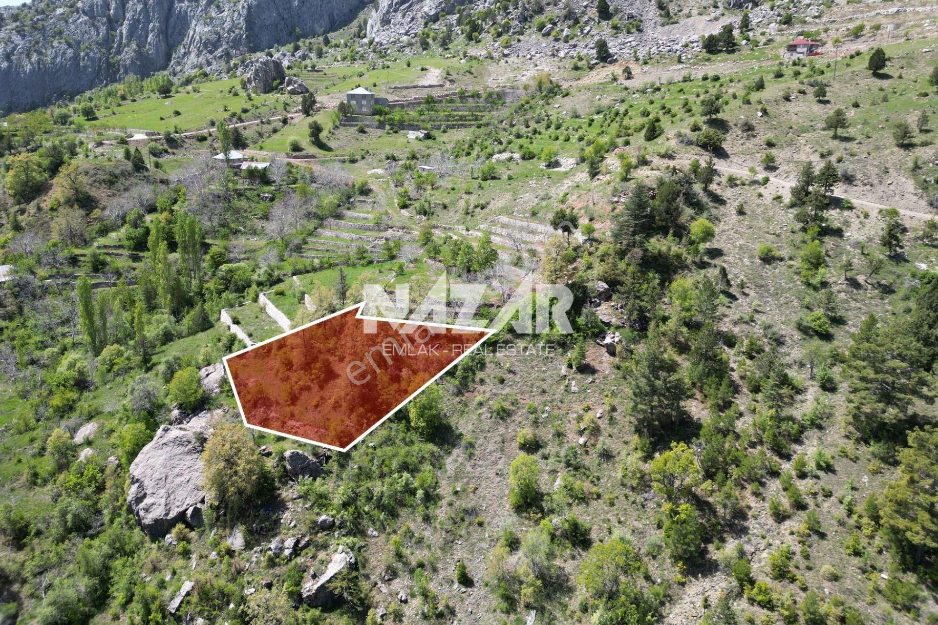 Alanya Şıhlar Köyü, Çayarası Yaylası’nda 1.074 M² Satılık Tarla - Görsel 6