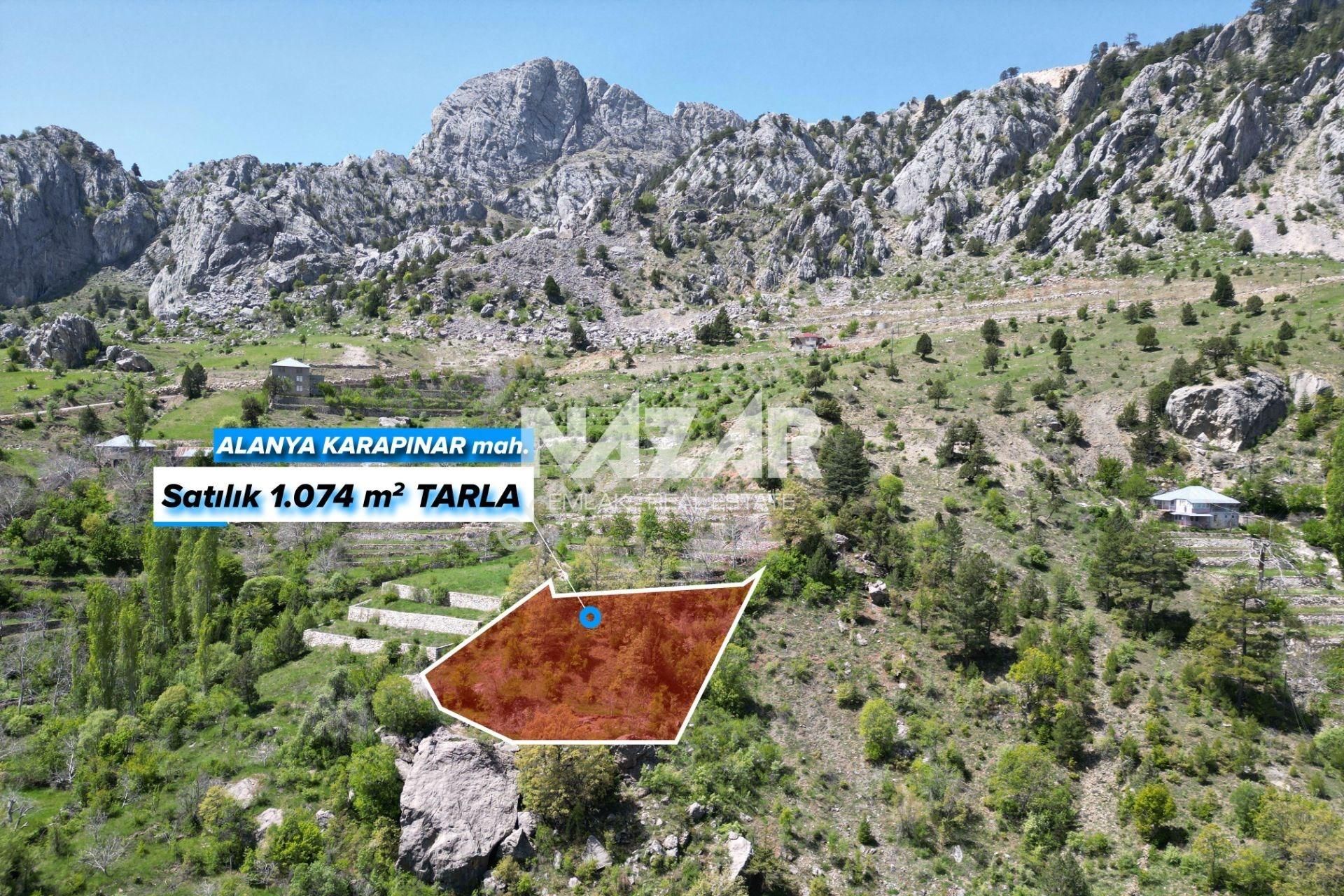 Alanya Şıhlar Köyü, Çayarası Yaylası’nda 1.074 M² Satılık Tarla - Görsel 3