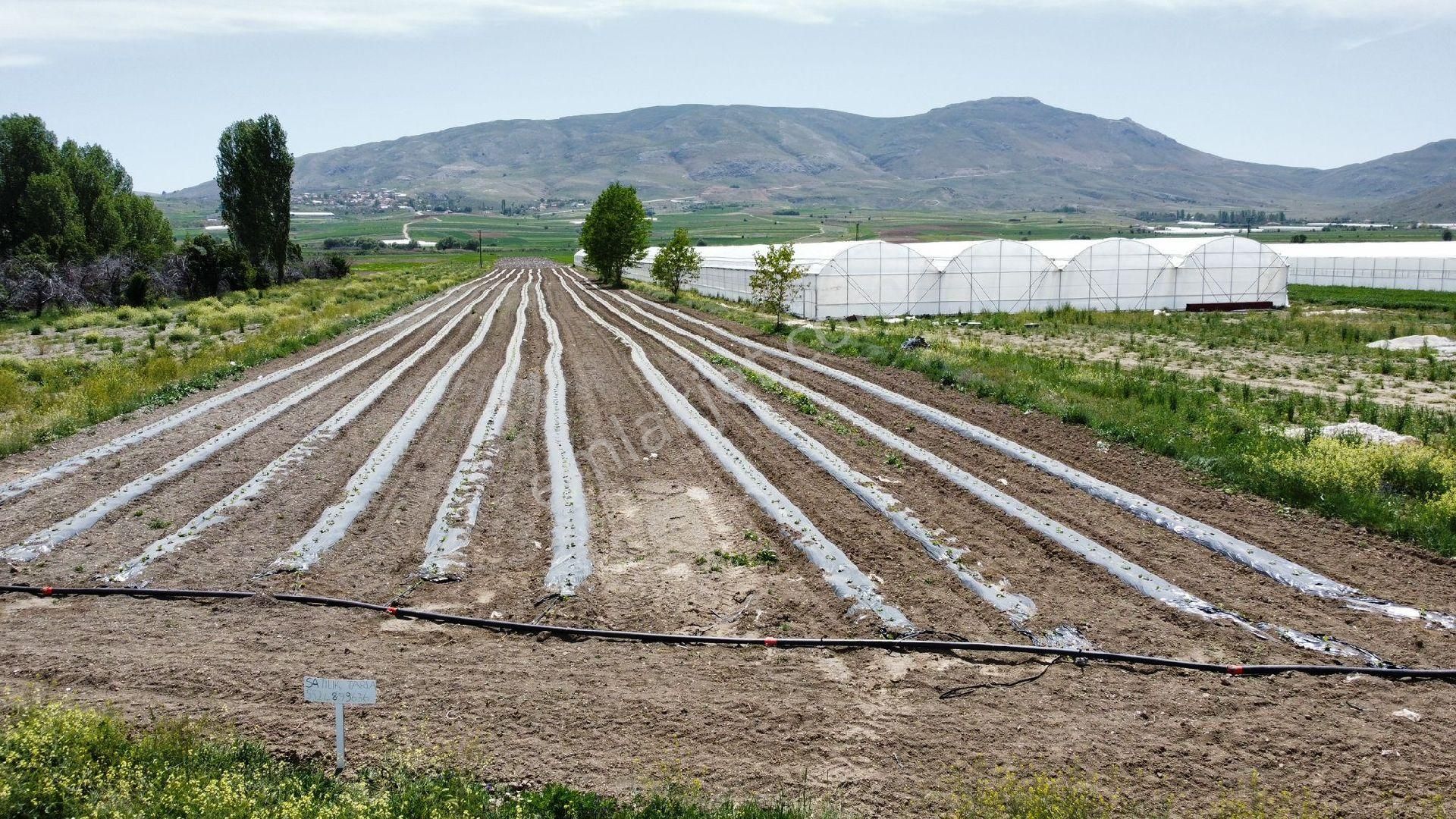 Maraton Emlak Erkan Ateş Den Kozağacı Köyünde 20750 M2 - Görsel 11